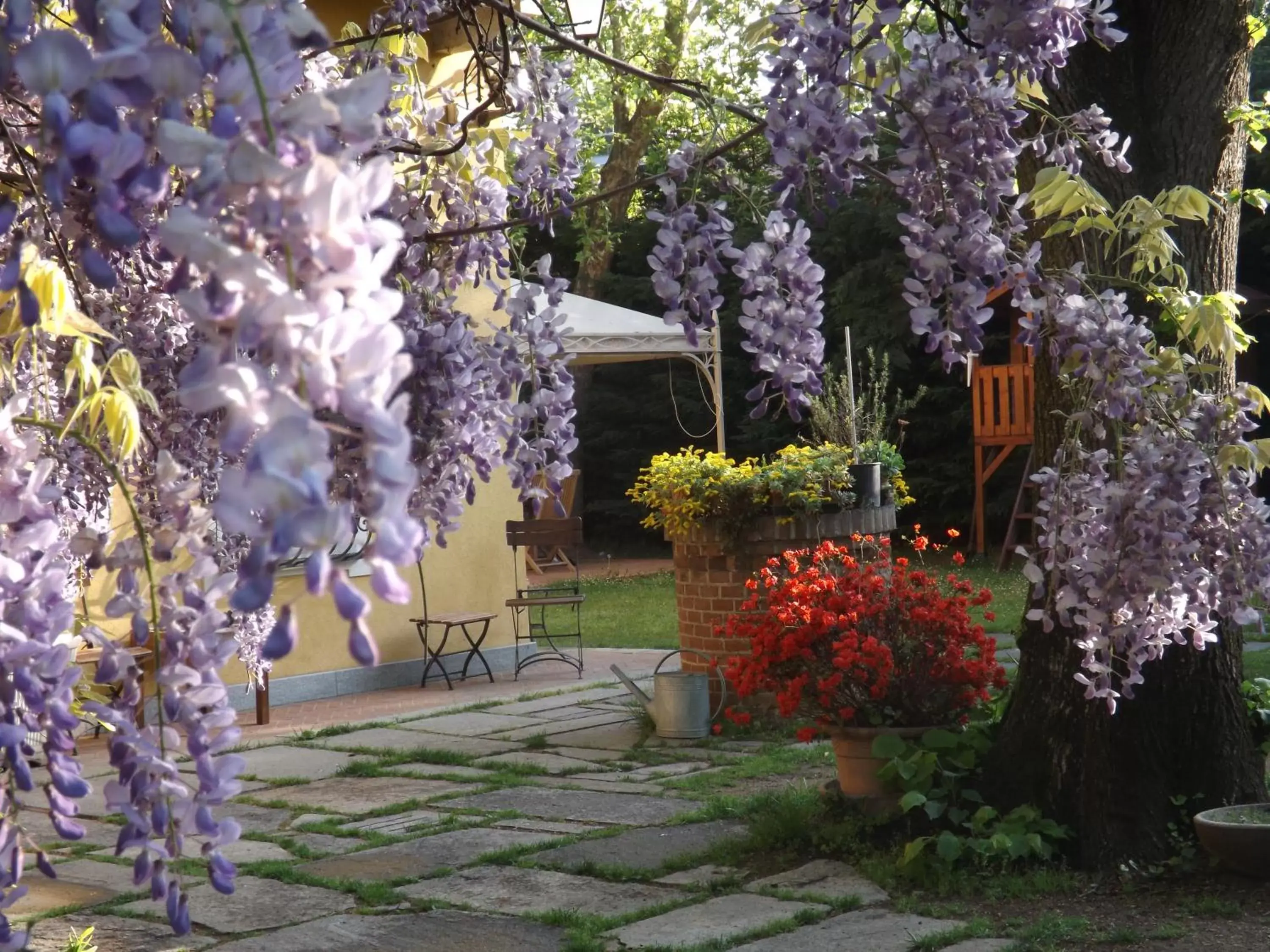 Garden in Villa Mirano Bed & Breakfast