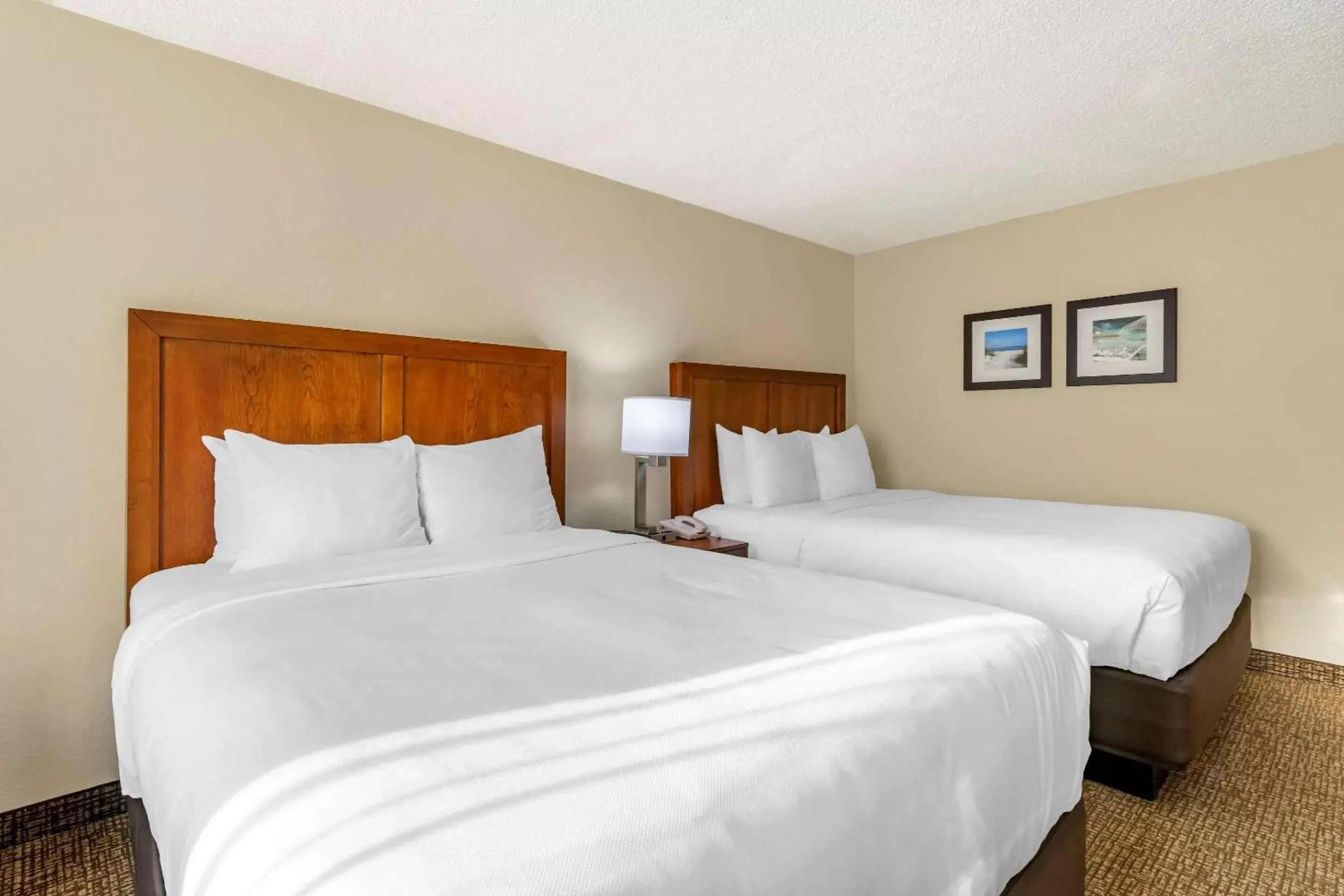Bedroom, Bed in Comfort Inn & Suites St Pete - Clearwater International Airport
