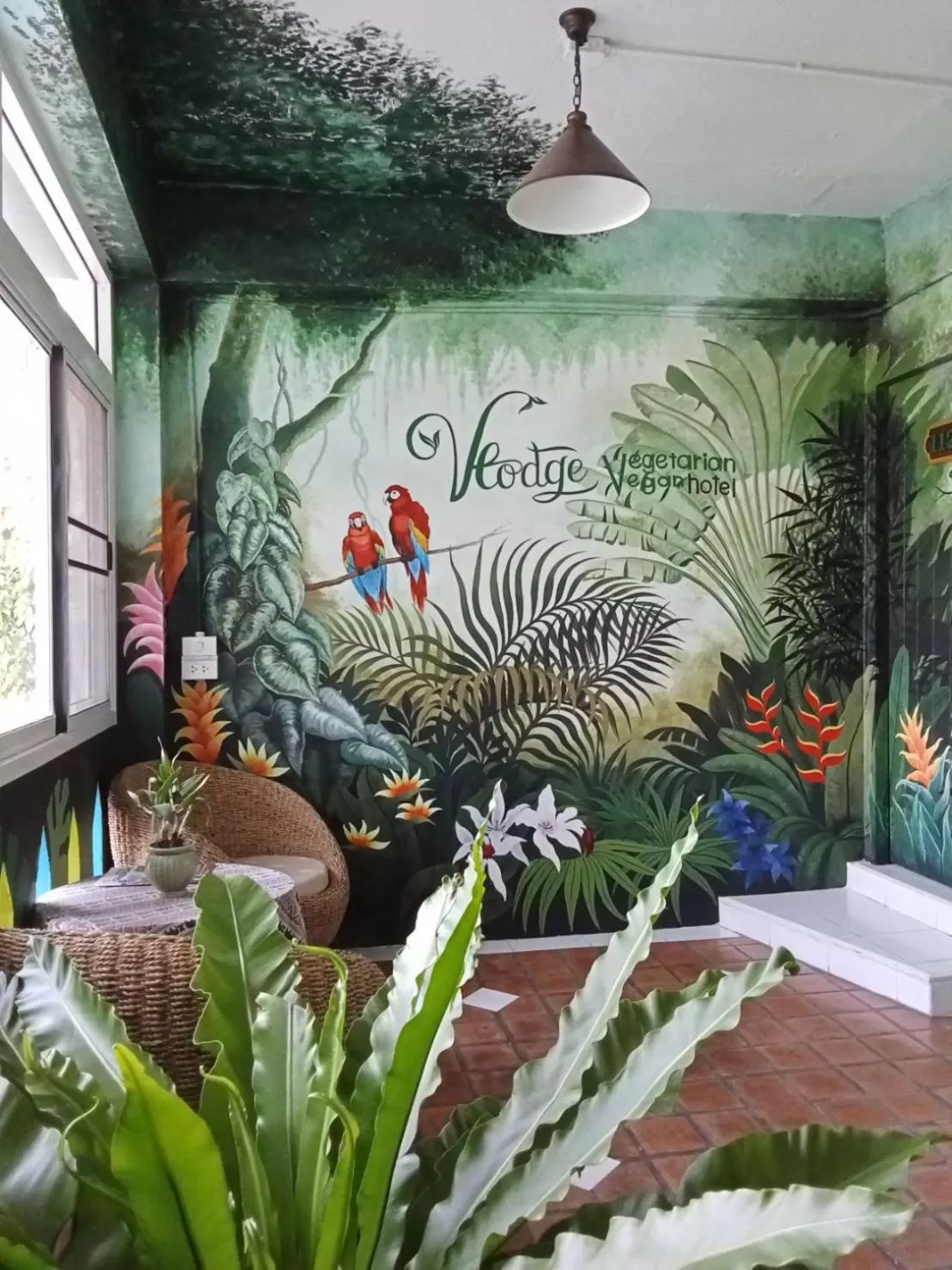 Garden in Vlodge House