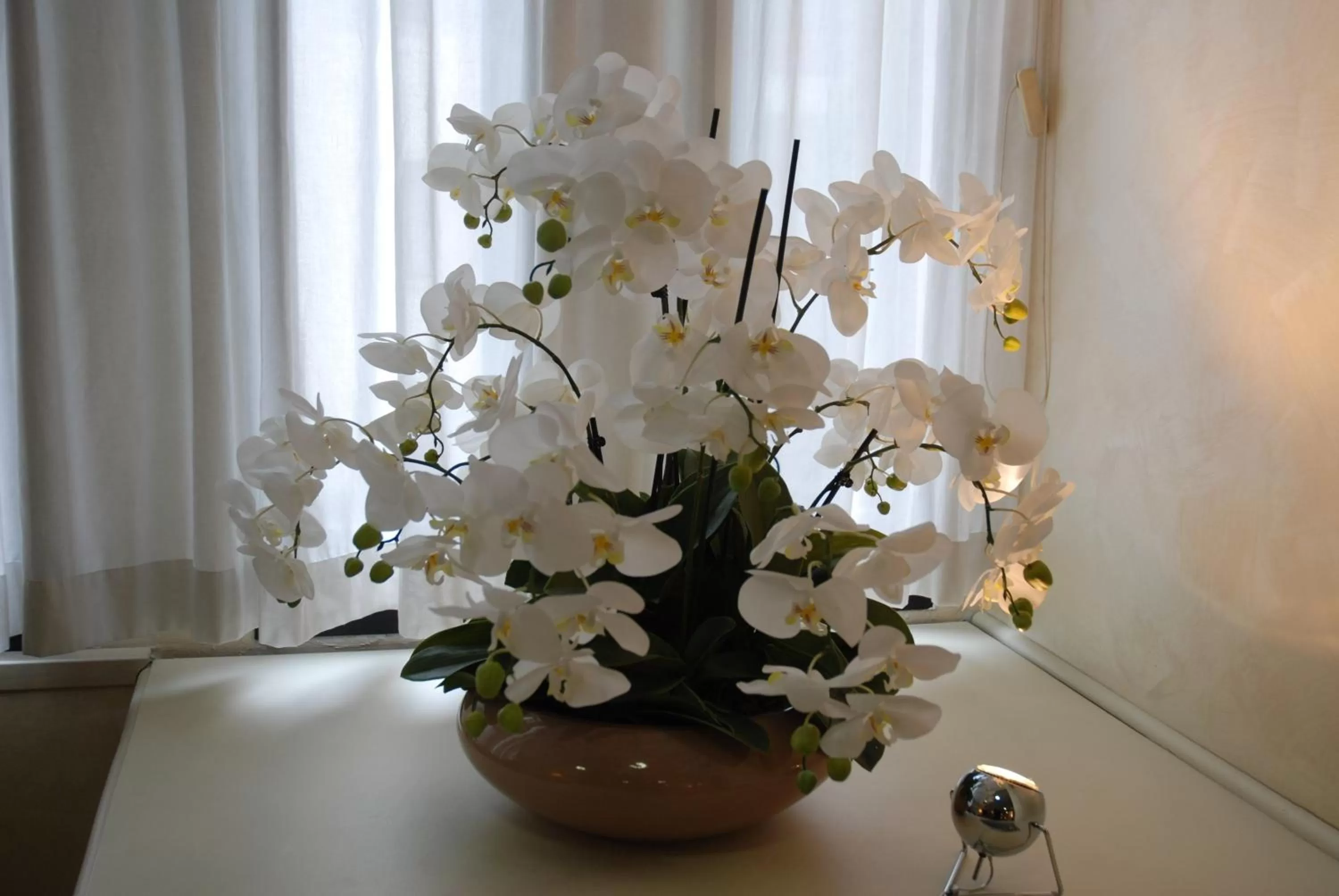 Other in Hotel Continental Brescia