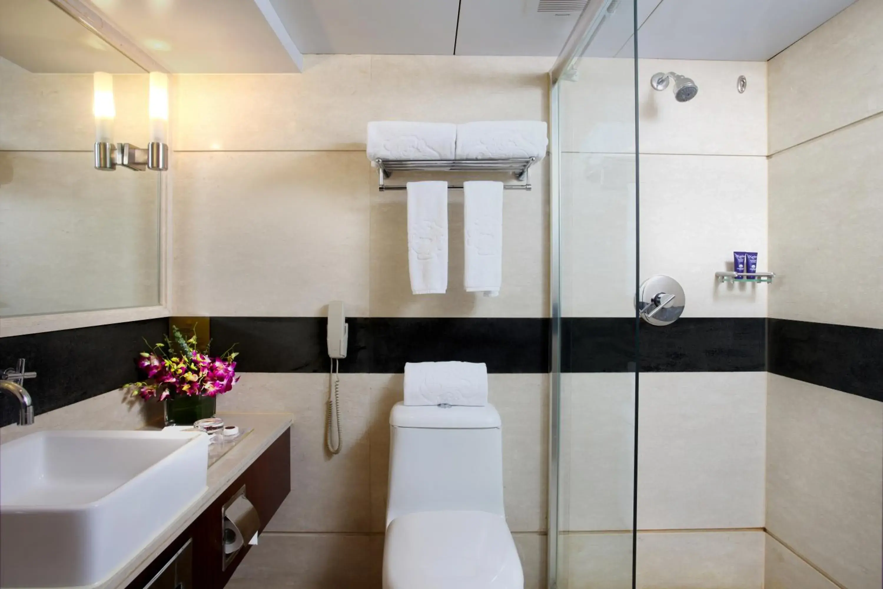 Decorative detail, Bathroom in Sunworld Hotel