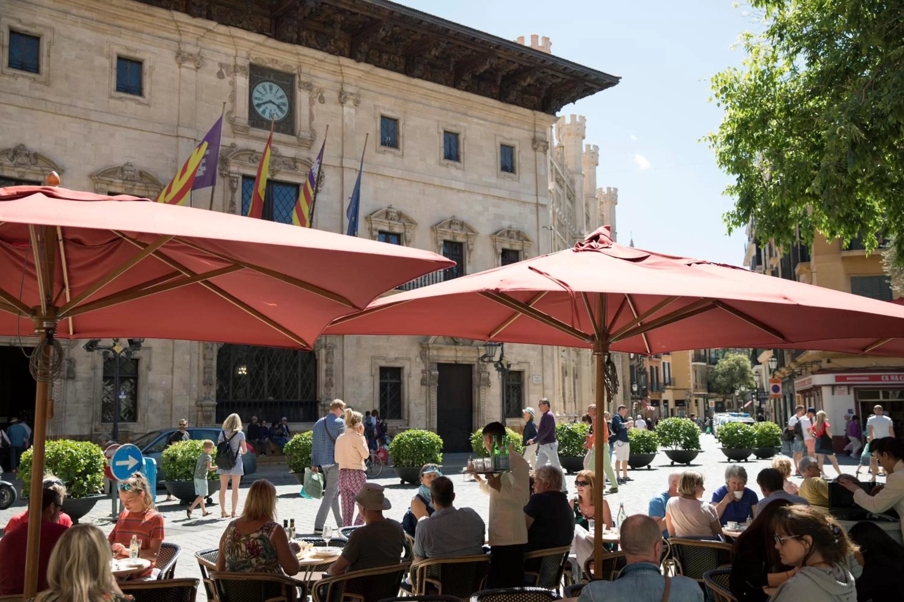 Nearby landmark in Hotel Cappuccino - Palma