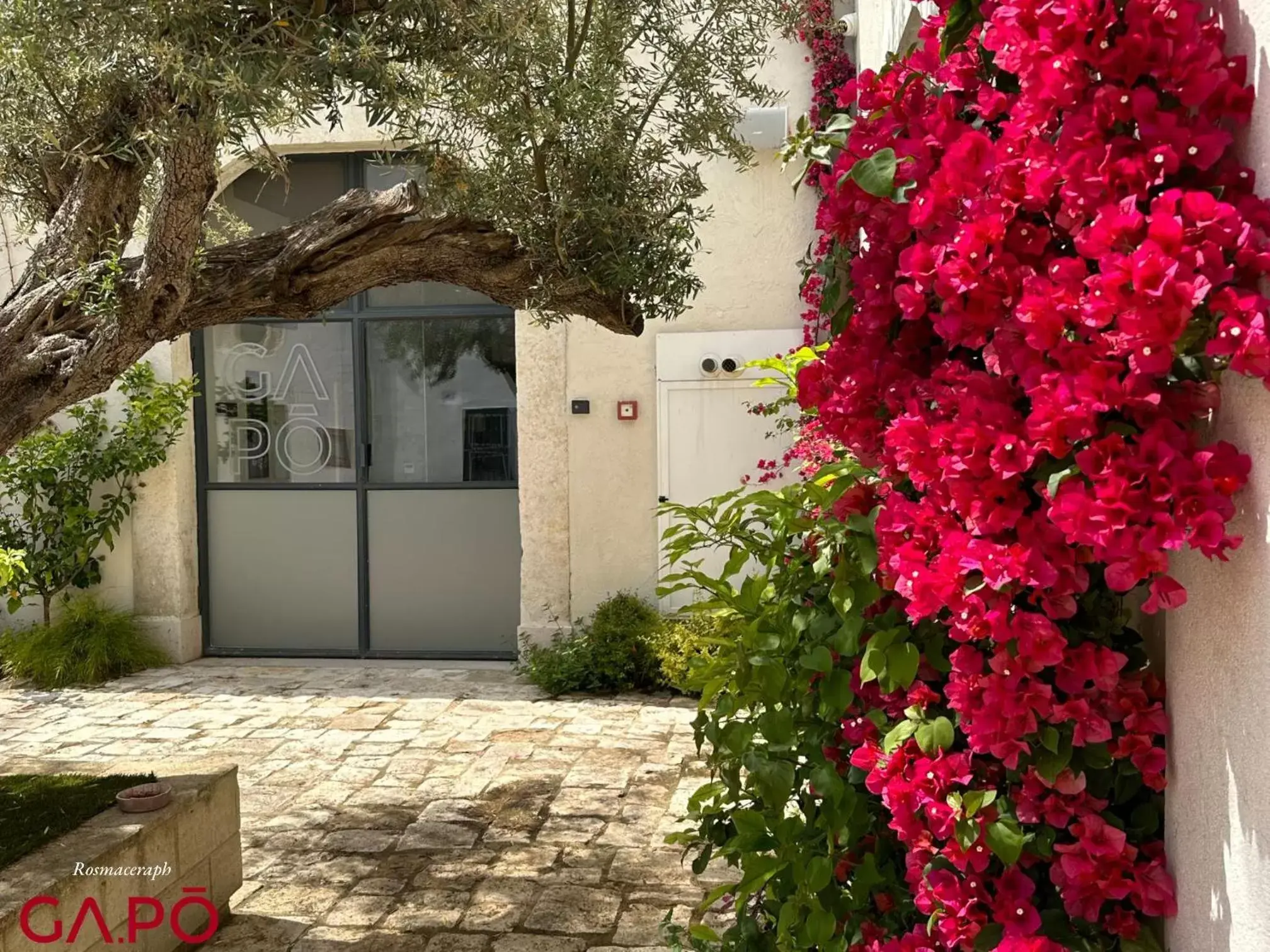 Garden in GAPO Rooms