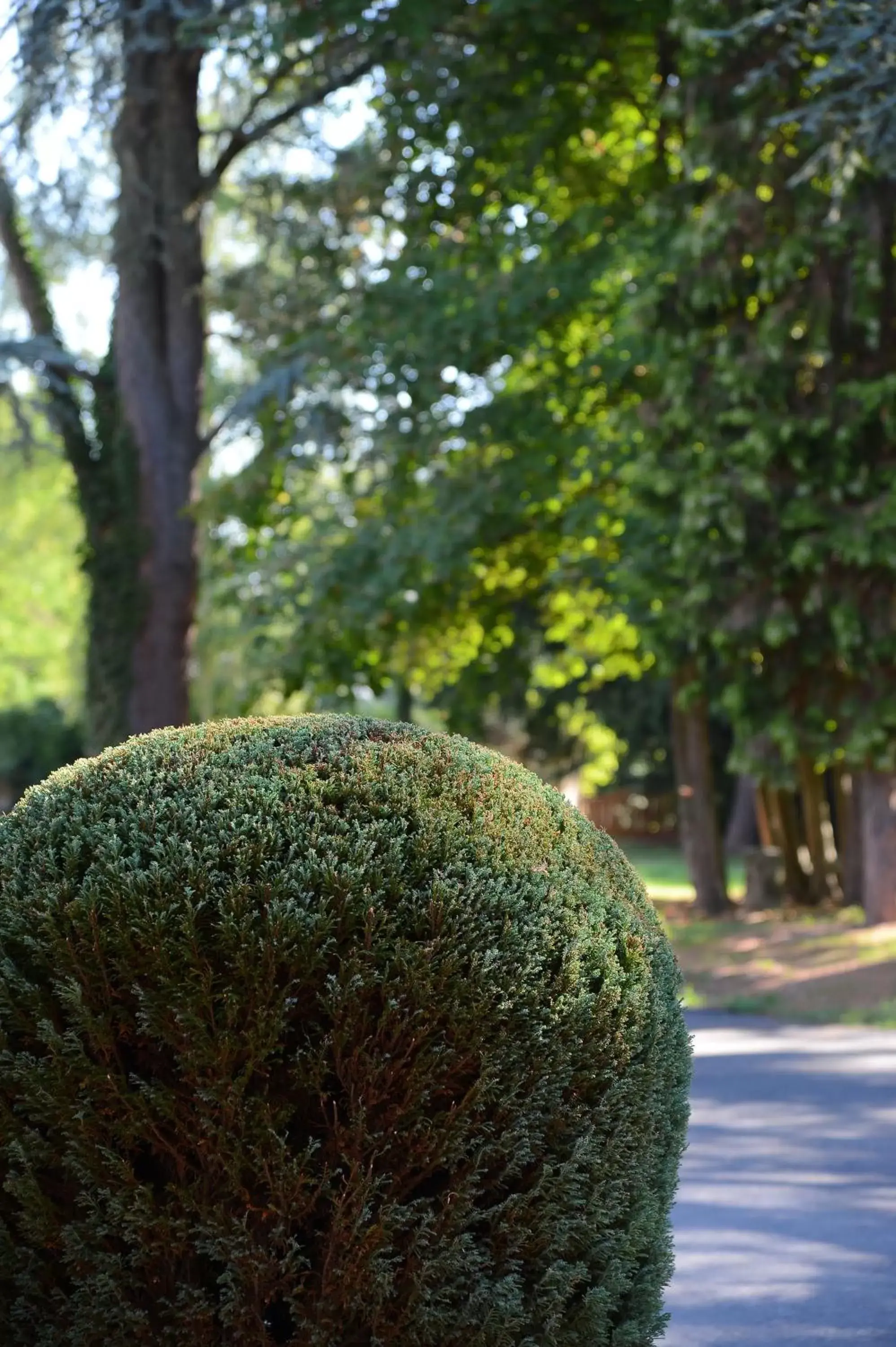 Garden view in Clos St Eloi, The Originals Relais (Relais du Silence) Garden view in Clos St Eloi, The Originals Relais (Relais du Silence)