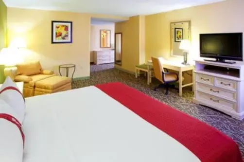 Bed, TV/Entertainment Center in Holiday Inn Chantilly-Dulles Expo Airport, an IHG Hotel