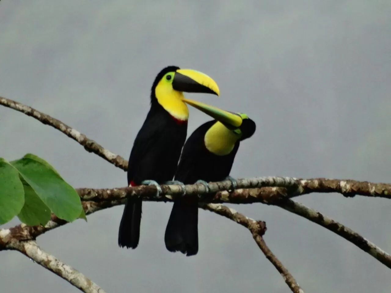 Activities in Posada Turística Rocas De Cabo Marzo