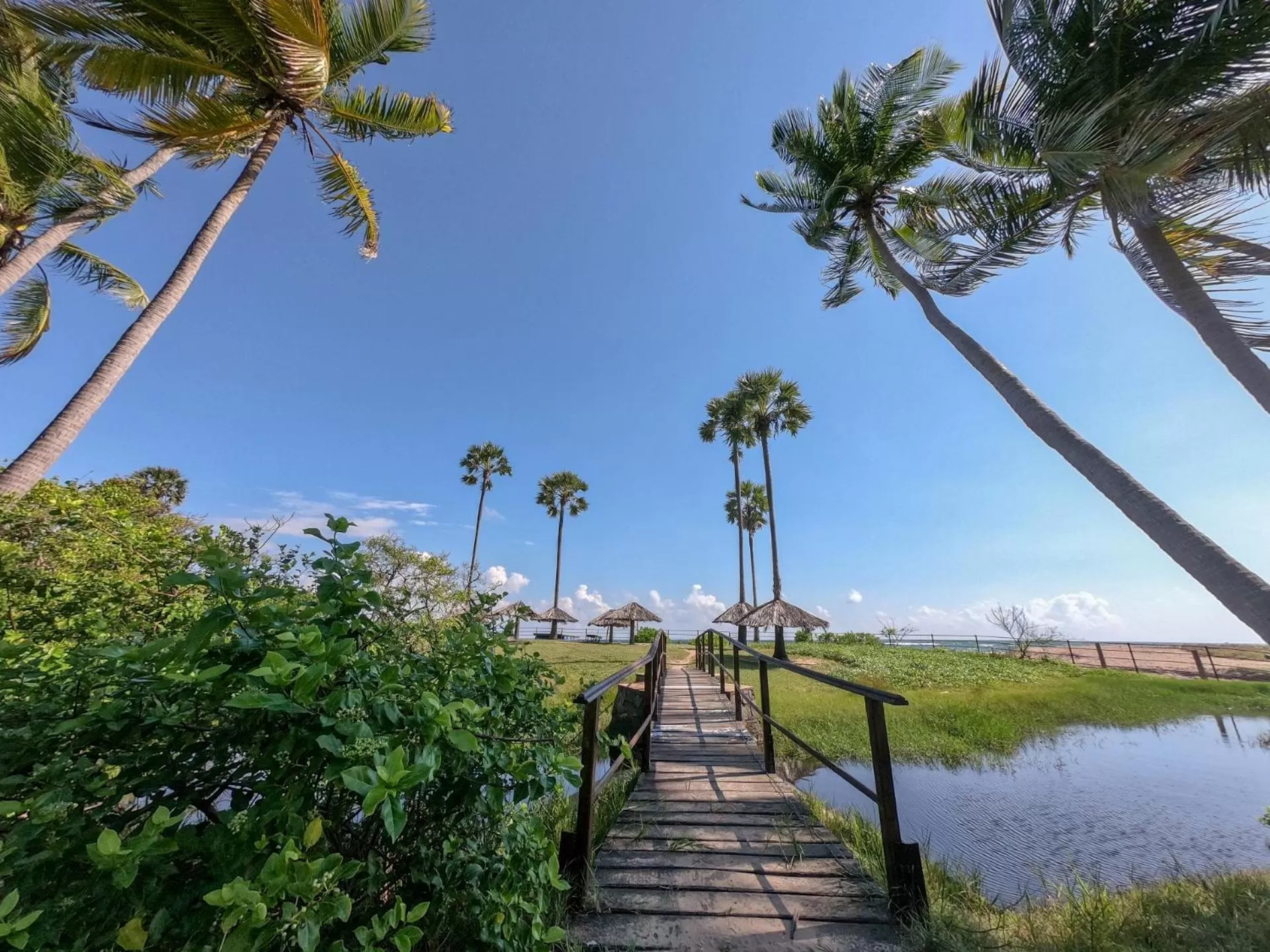 Garden in 108 Palms Beach Resort