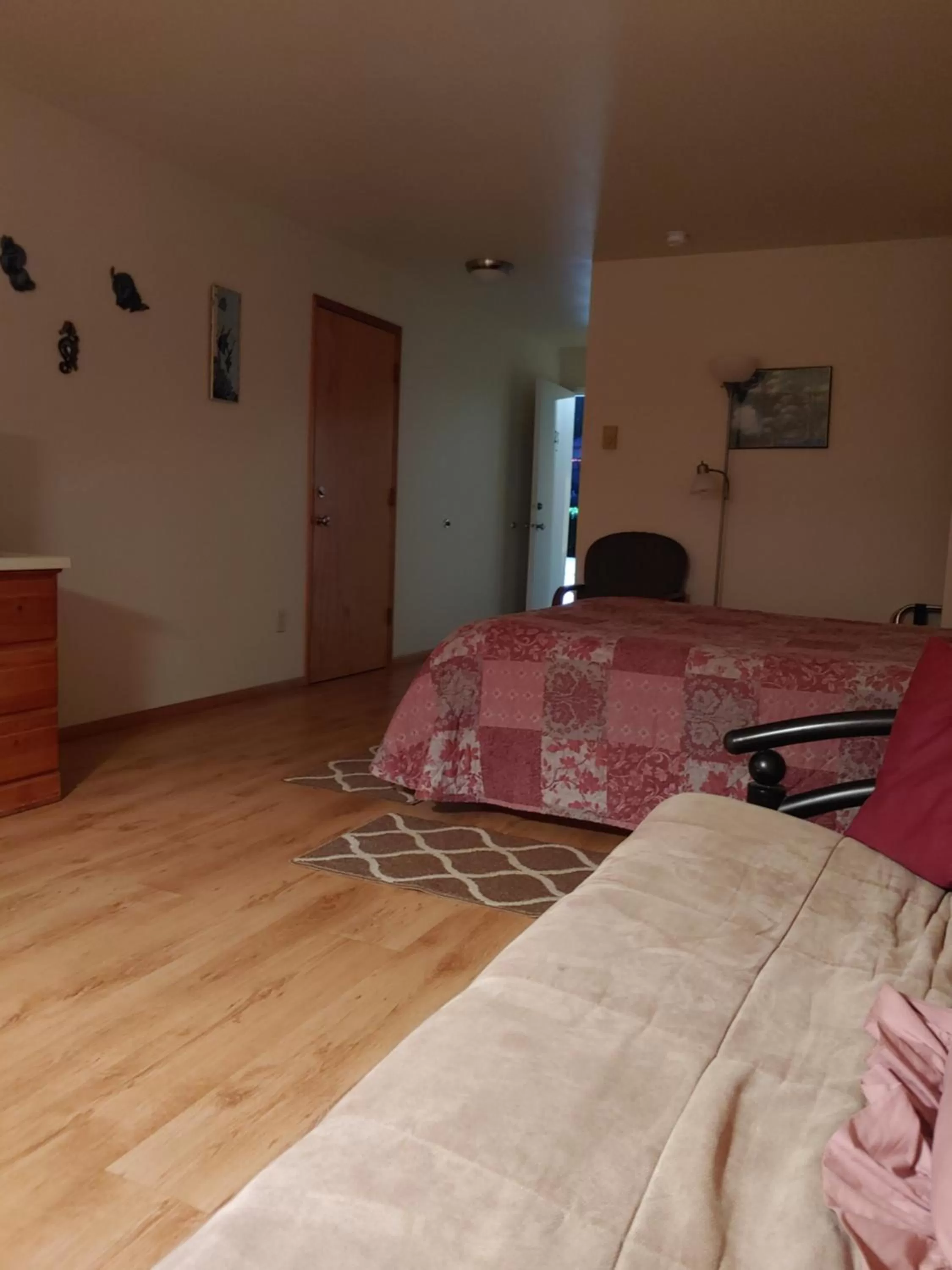 Bed in The Dublin House Motel