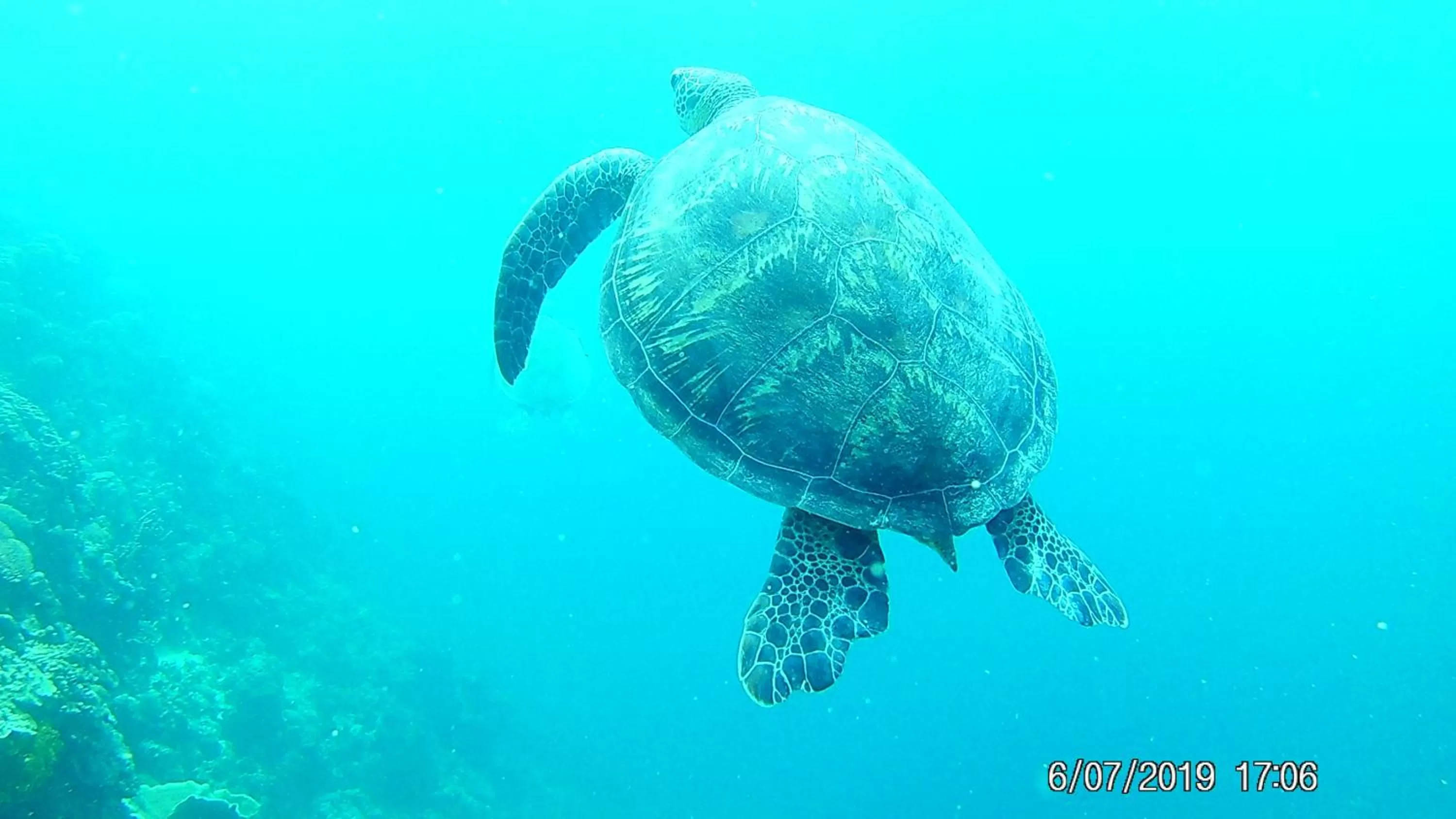 Coconut Inn Moalboal