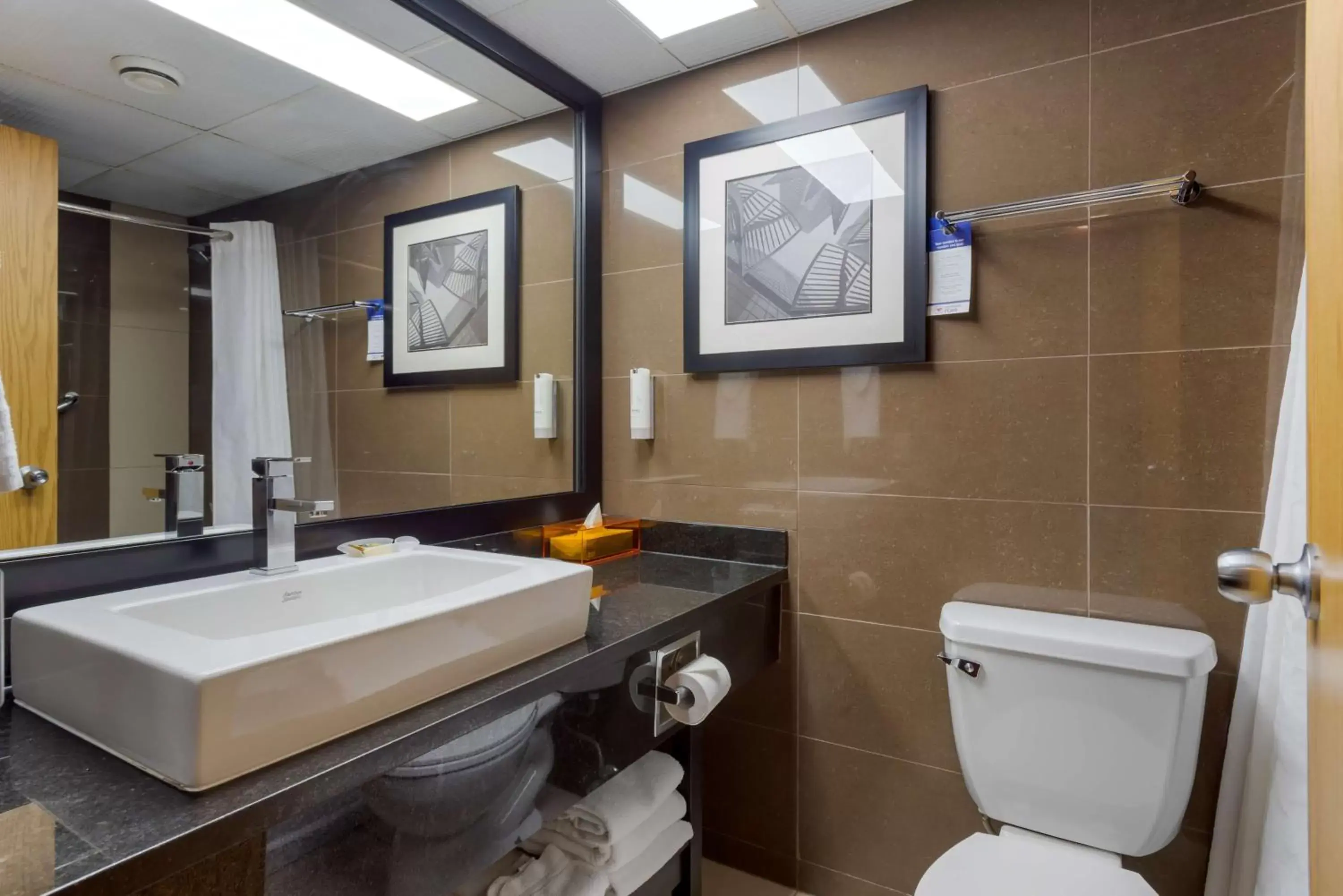 Bathroom in Best Western Plus Village Park Inn