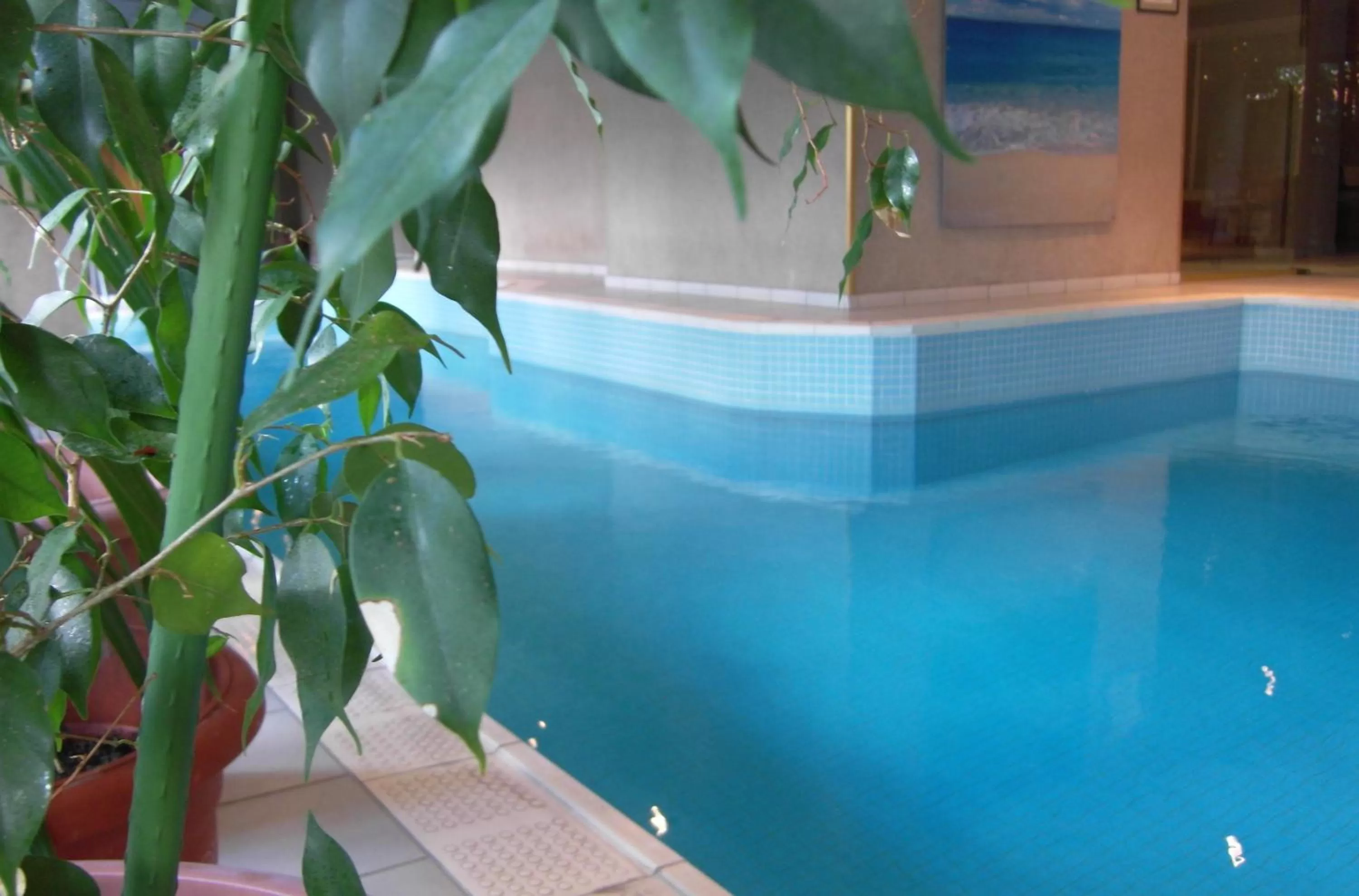 Swimming pool in Apart Hotel Best