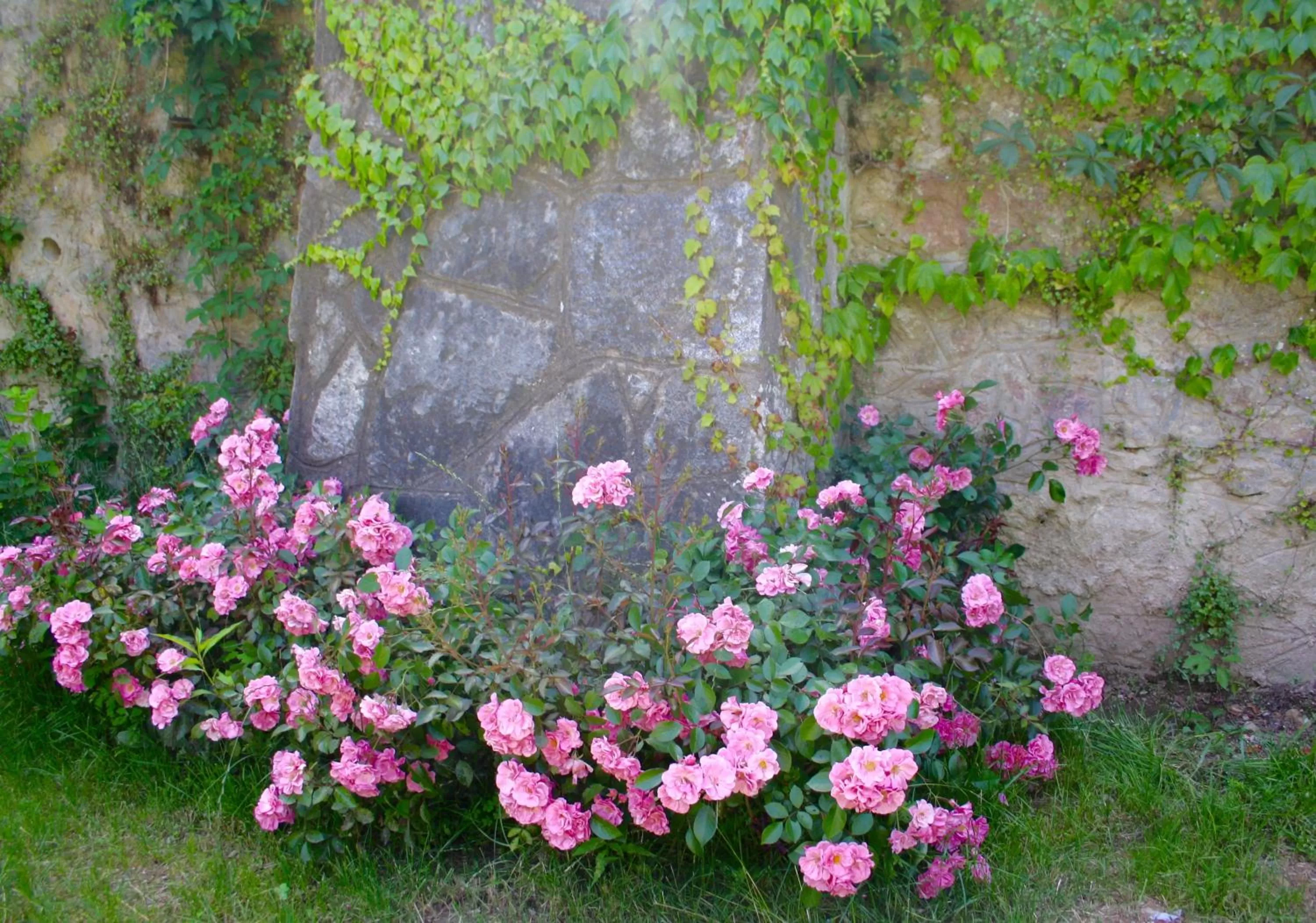 Property building in White Lilac Romantic B&B - Adults only