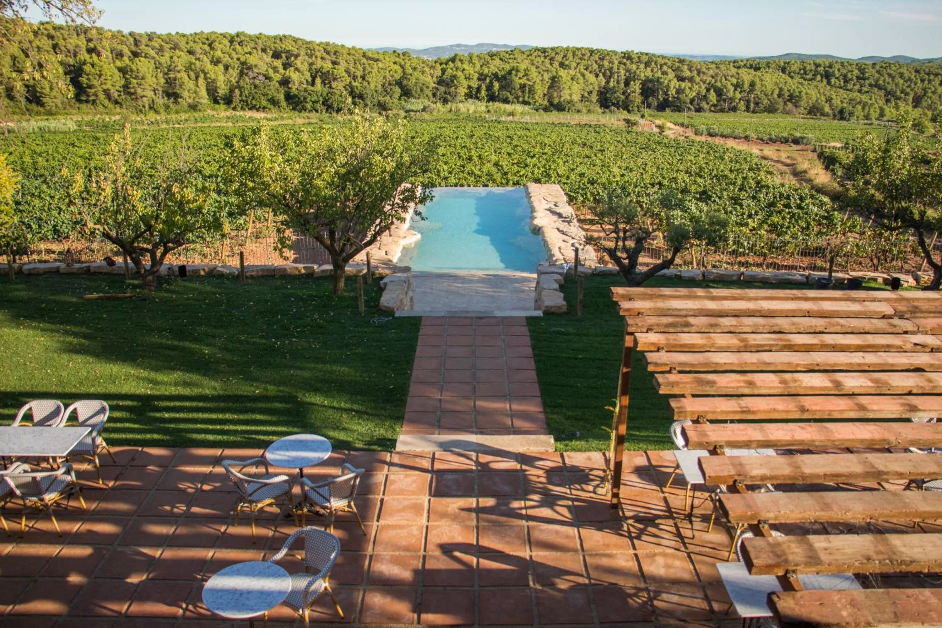 Swimming pool in Hotel Montrubí 1771 - Slow Winery Hotel - Adults only