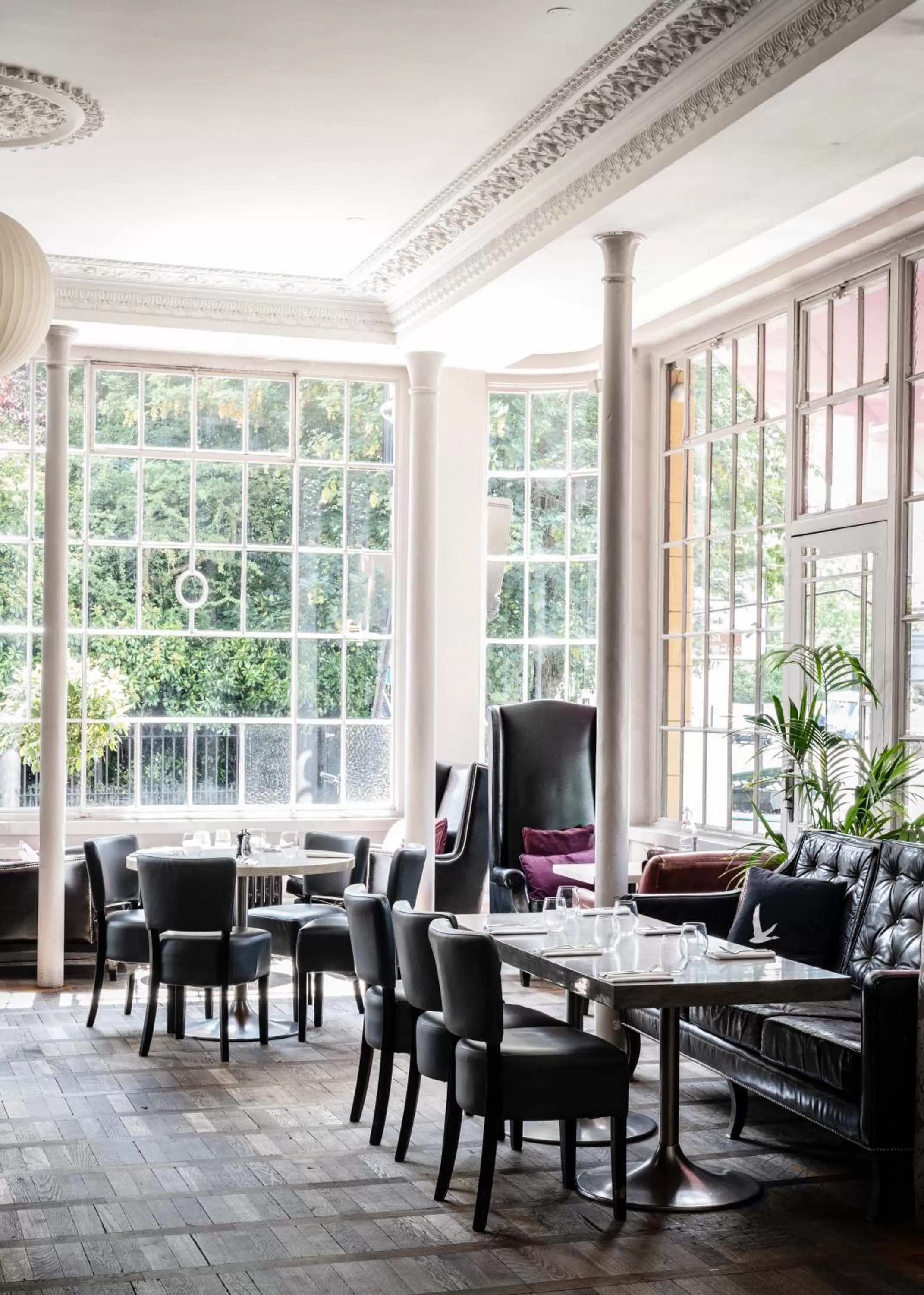 Lounge or bar, Restaurant/Places to Eat in York & Albany