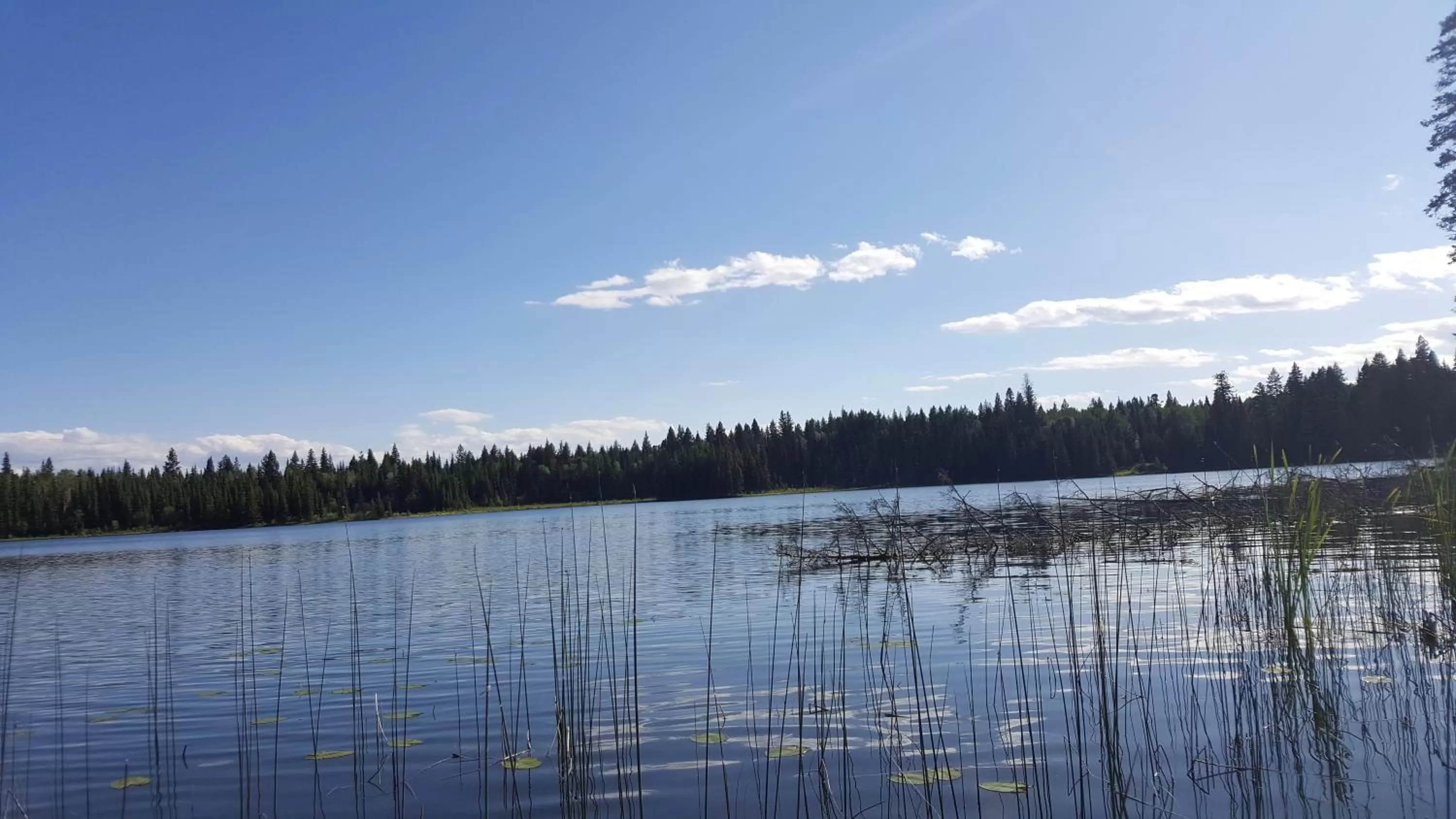 Natural landscape in Wettstone Guest Ranch