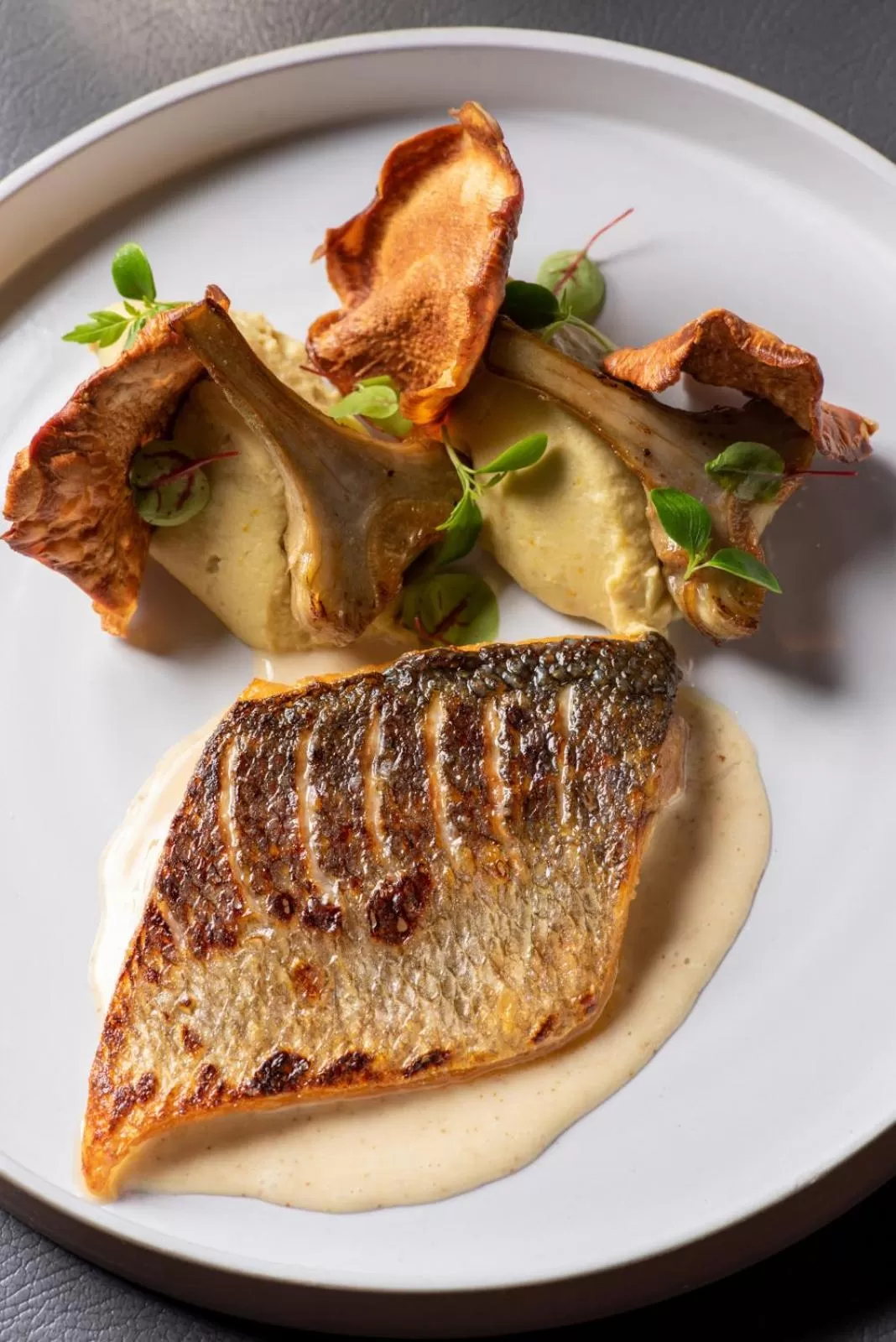 Food in Domaine la Pierre Blanche