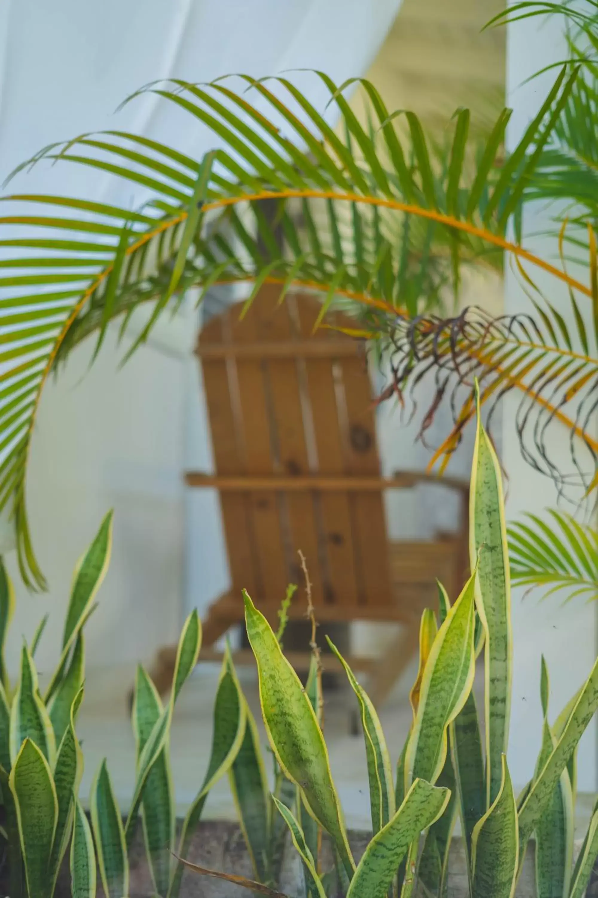 Balcony/Terrace in PUNTA POPY Boutique HOTEL