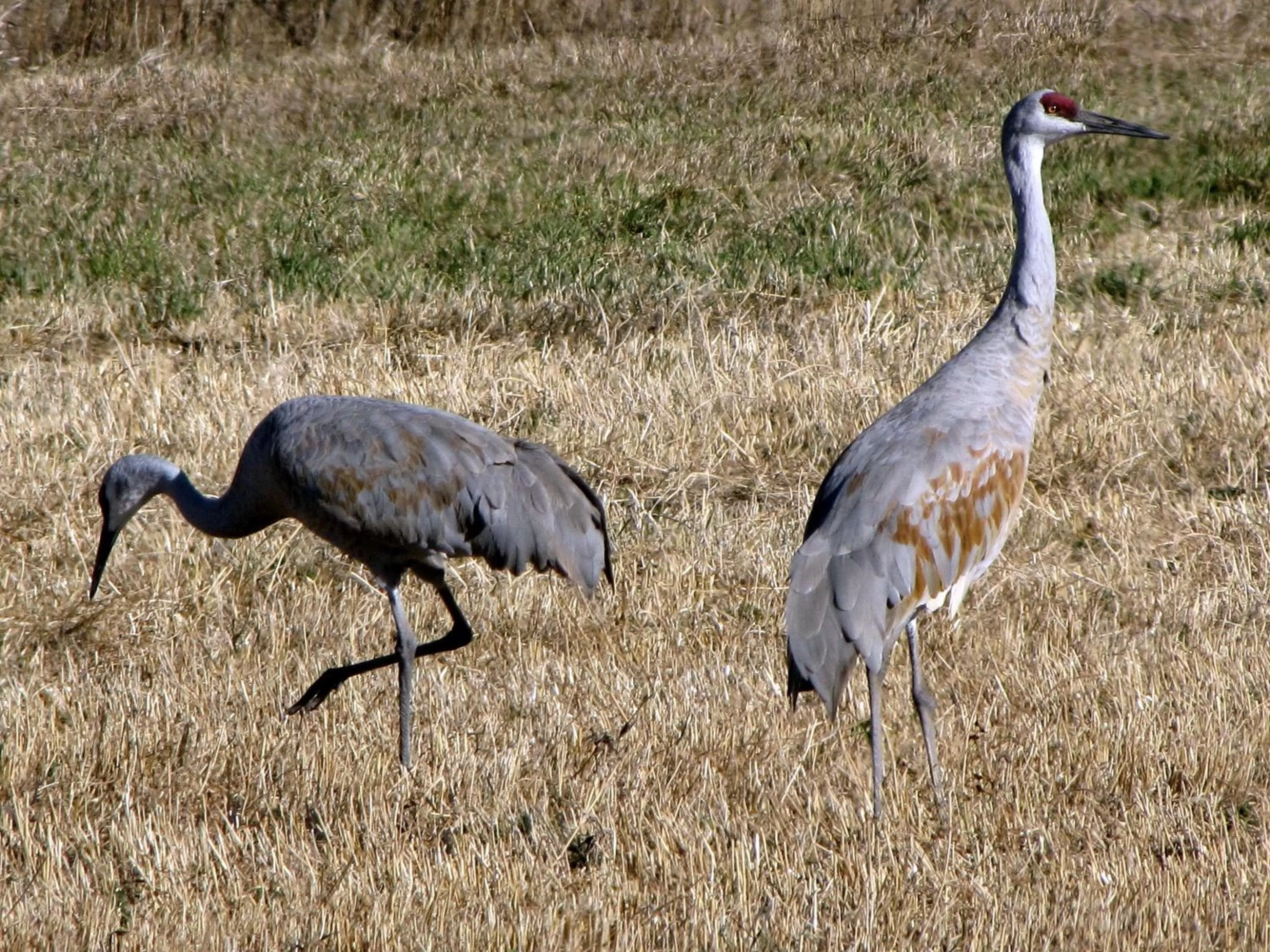 Nearby landmark in Candlewood Suites Craig-Northwest by IHG