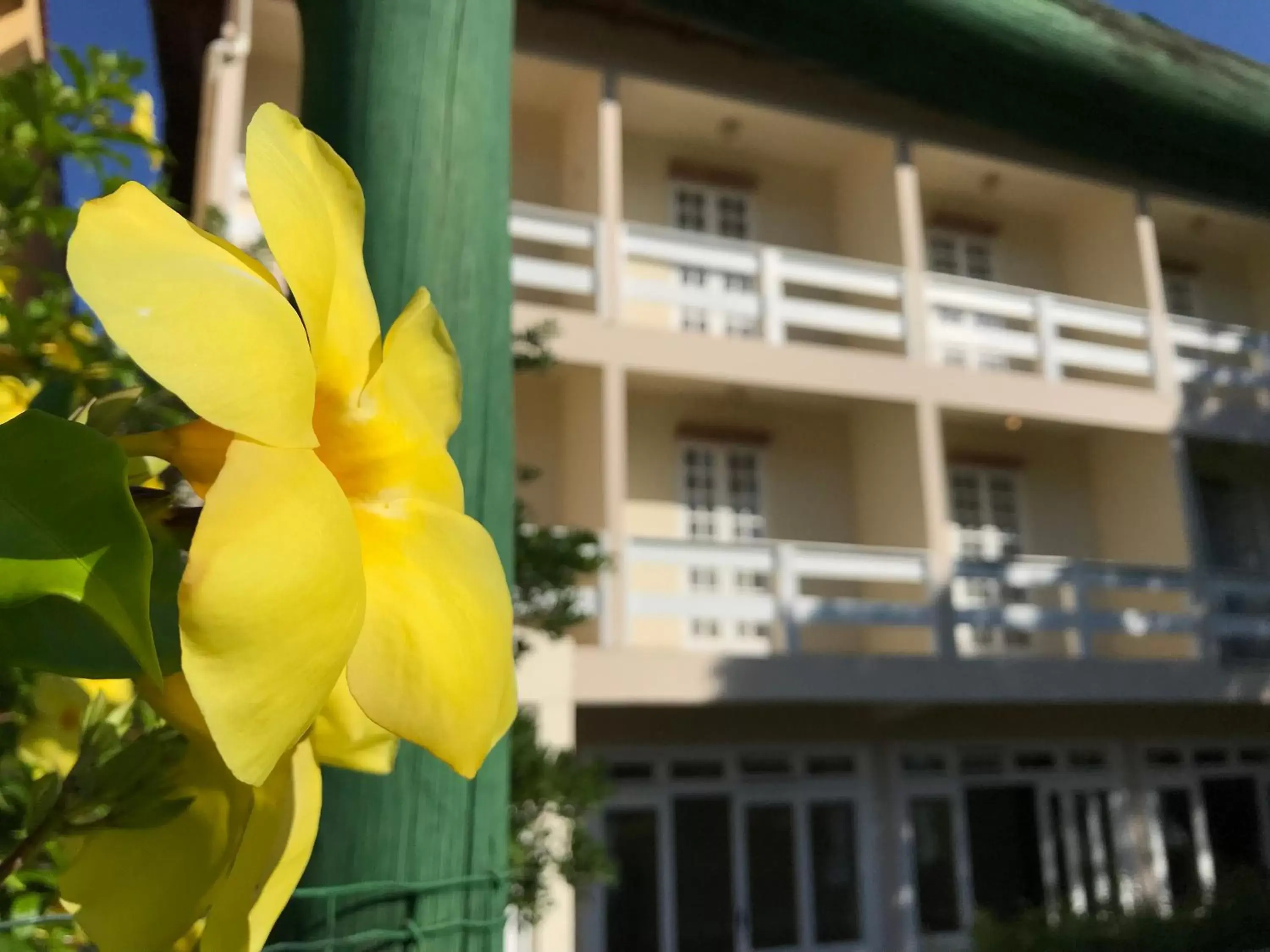 Property Building in Hotel São Sebastião da Praia