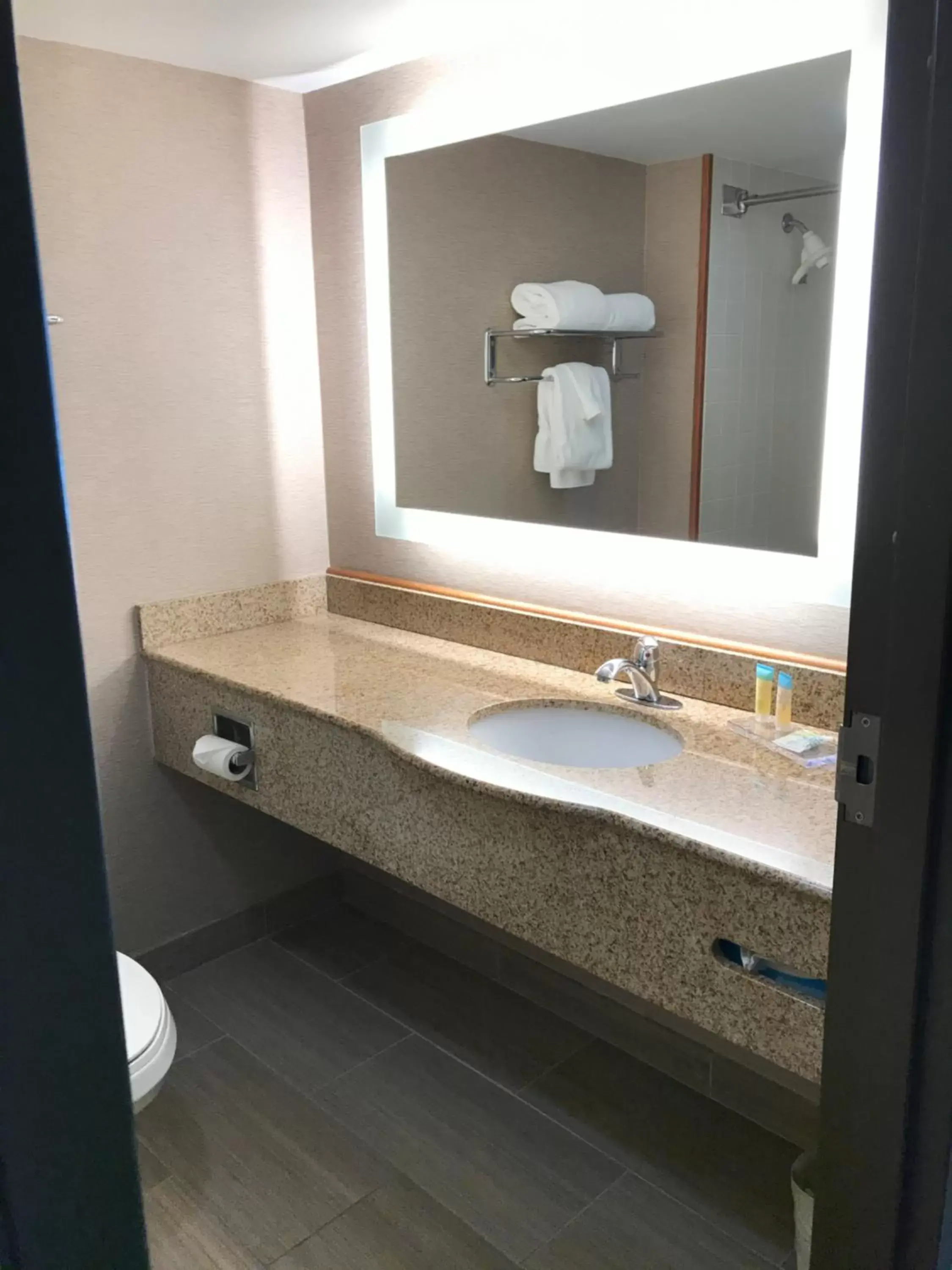 Bathroom in Wingate by Wyndham - Universal Studios and Convention Center