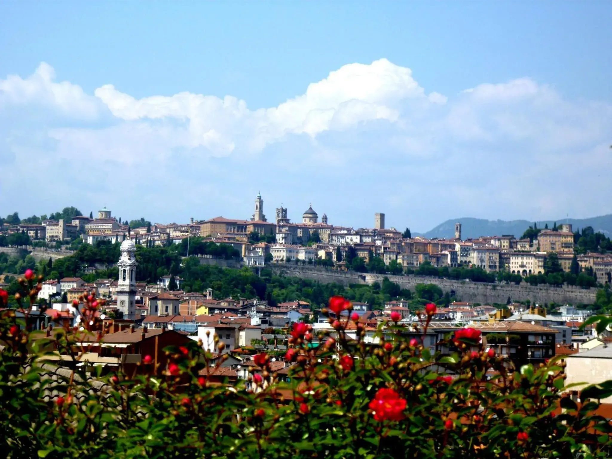 View (from property/room) in Hotel Città Dei Mille