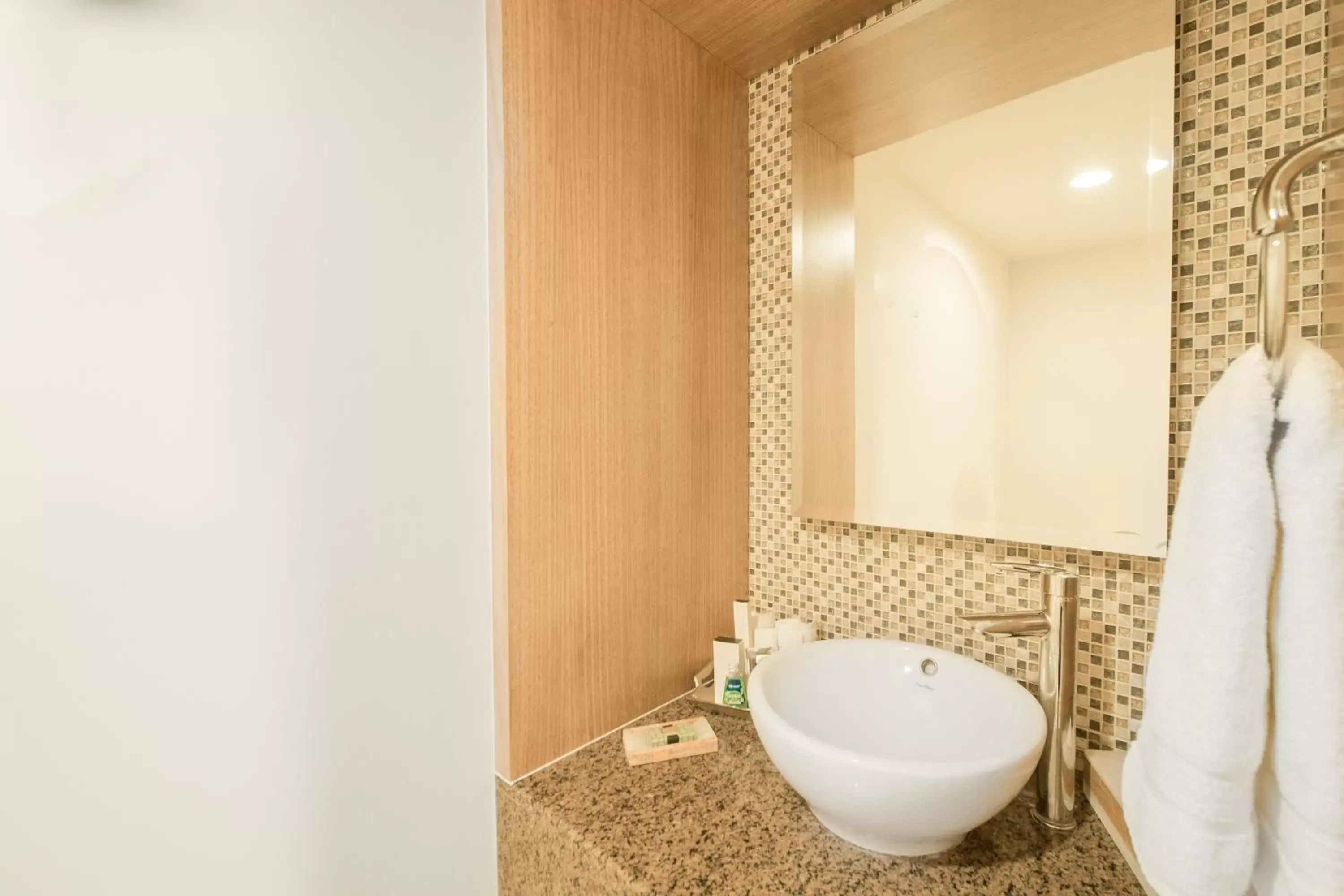 Toilet, Bathroom in Real Intercontinental San Salvador, an IHG Hotel