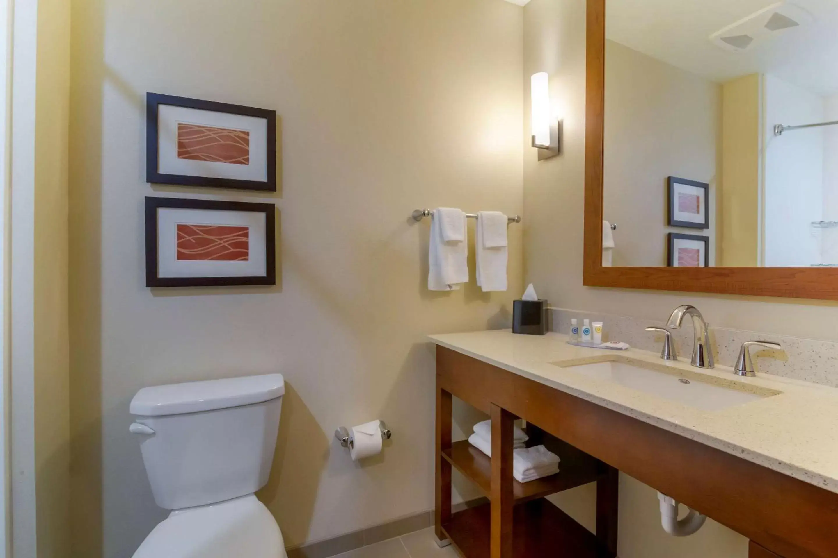 Bathroom in Comfort Inn & Suites Mandan - Bismarck