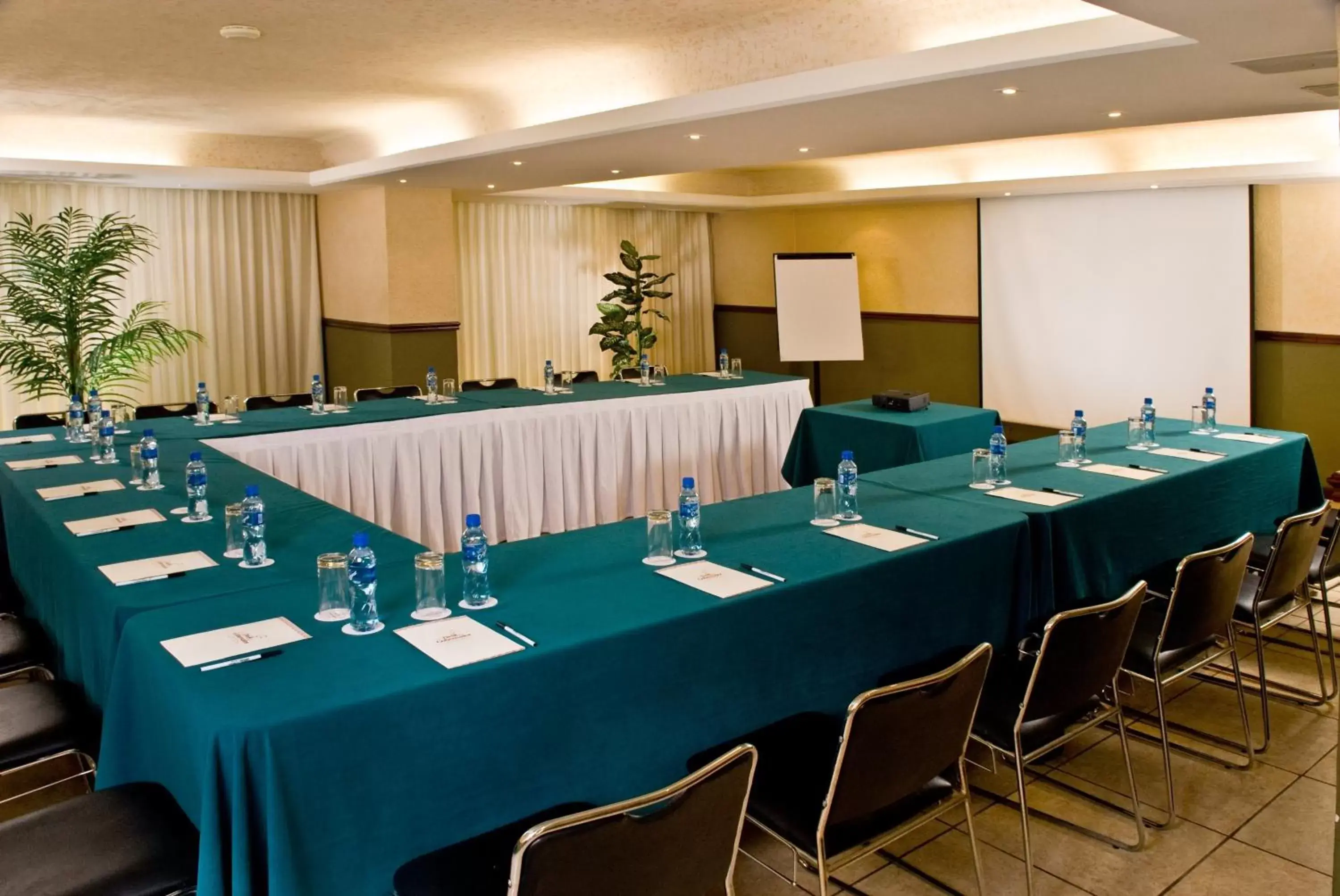 Business facilities in Hotel del Gobernador