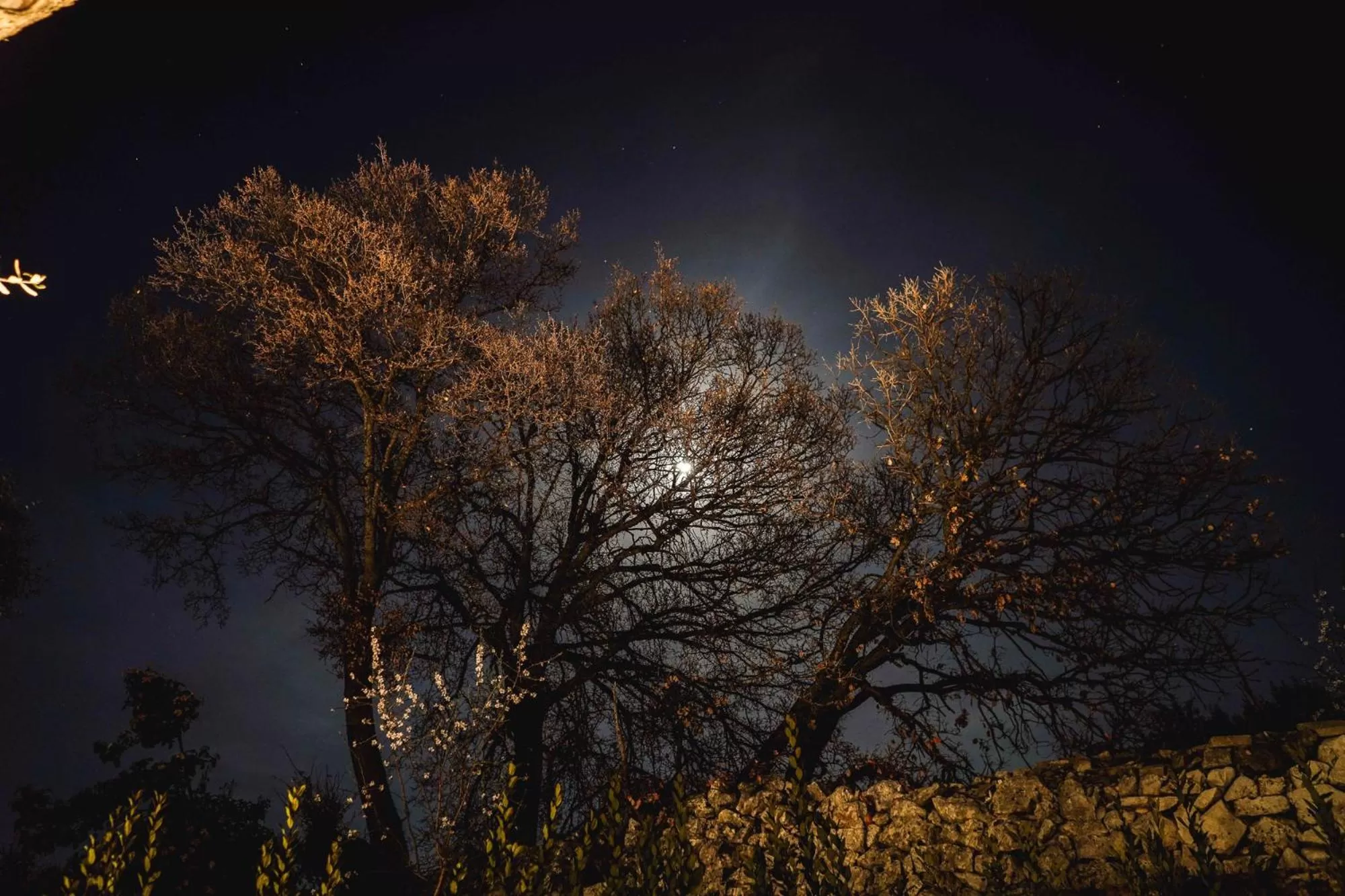 Natural landscape, Winter in ALMASOL - Charme Experience