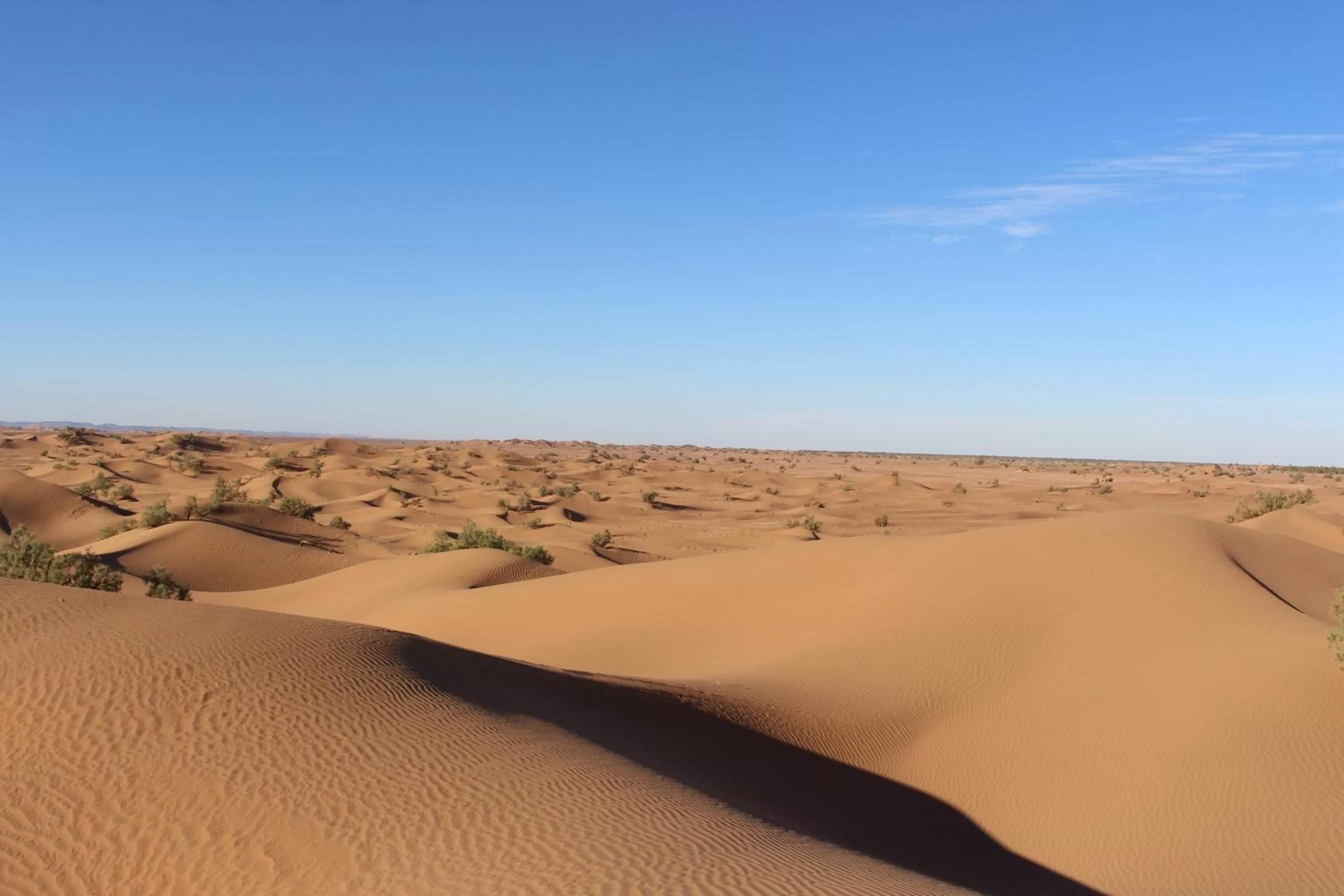 Area and facilities in Dar Paru