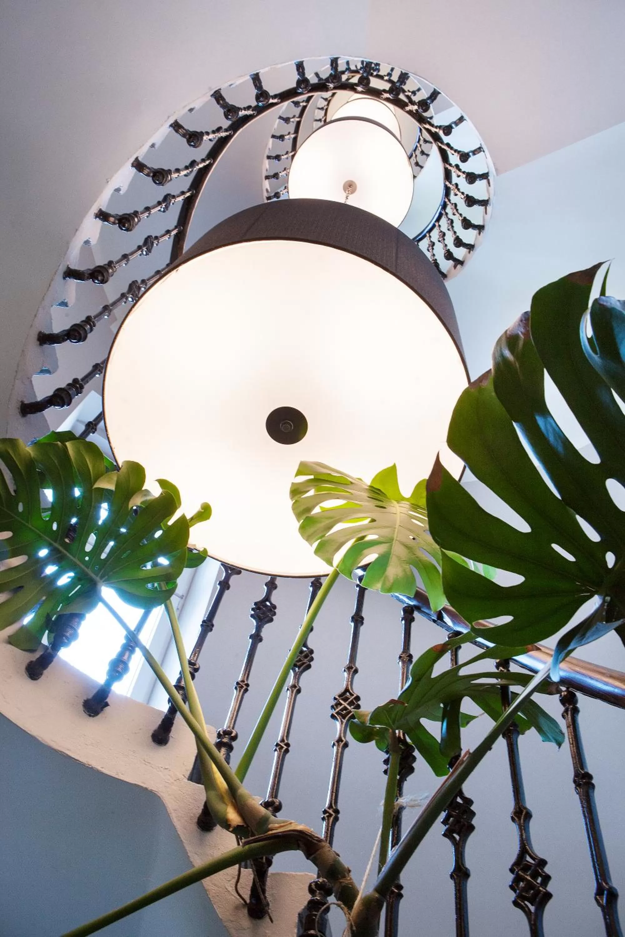 Decorative detail in Boutique Hotel Adria