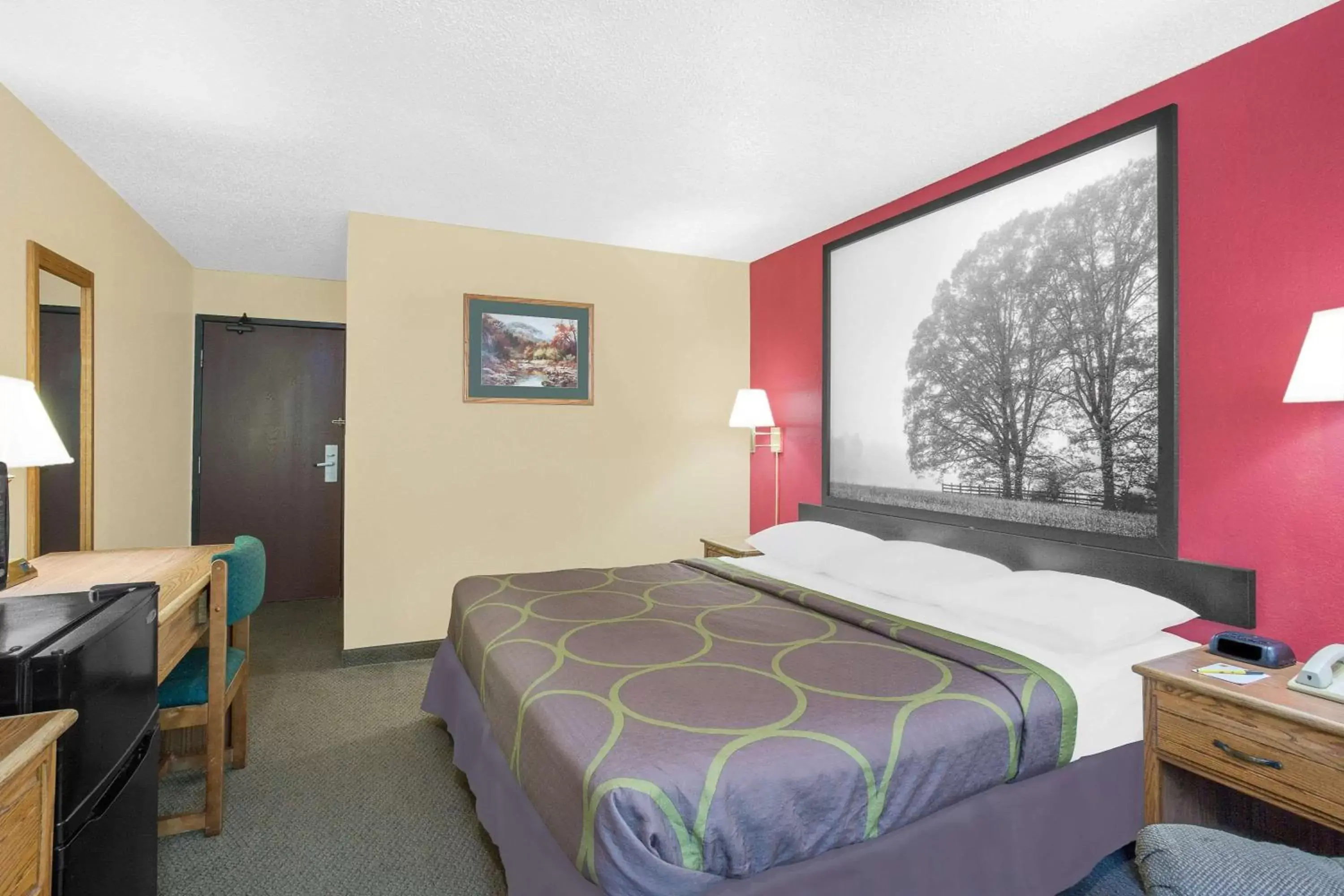 Photo of the whole room, Bed in Super 8 by Wyndham Roanoke VA