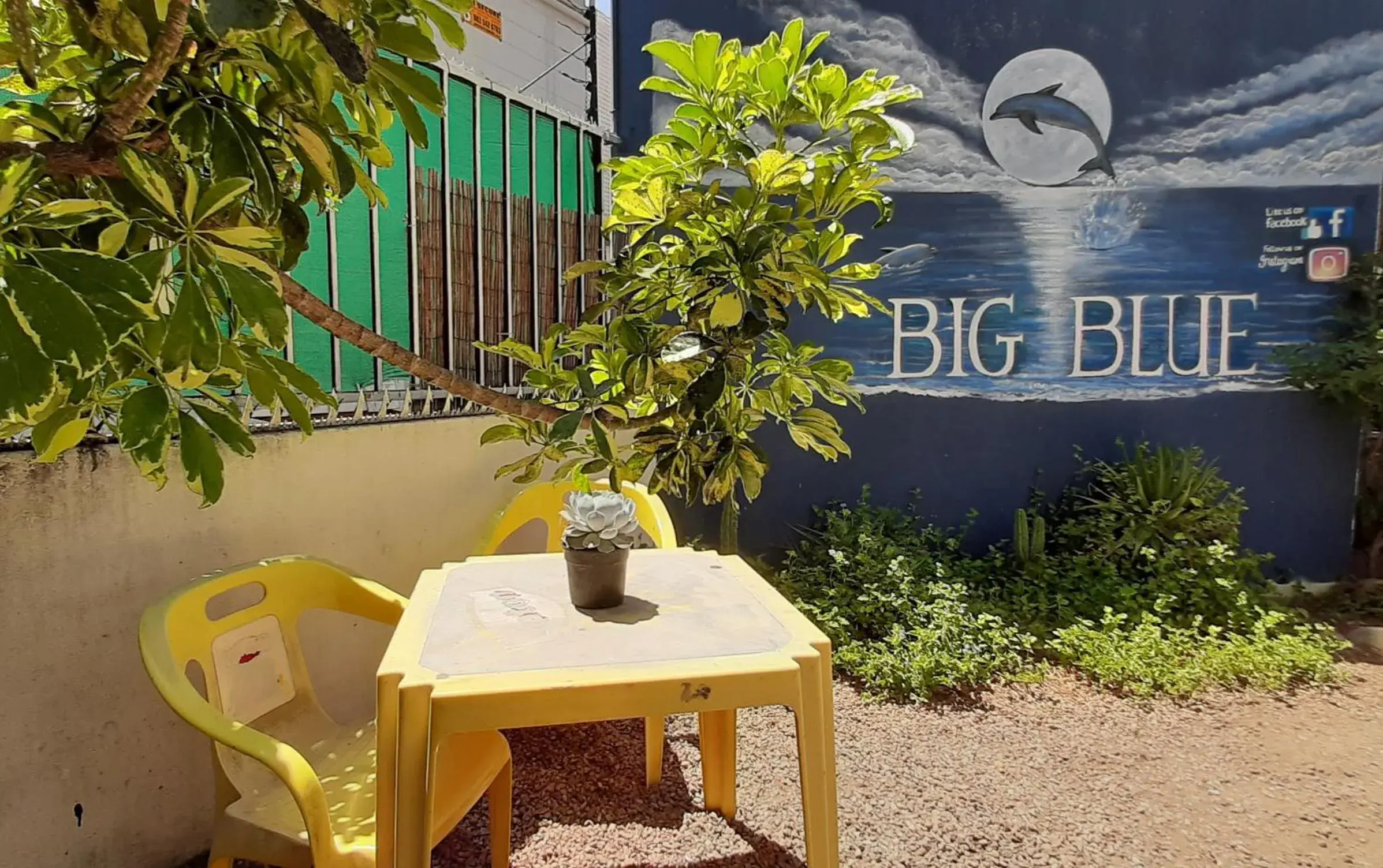 Patio in Big Blue Backpackers