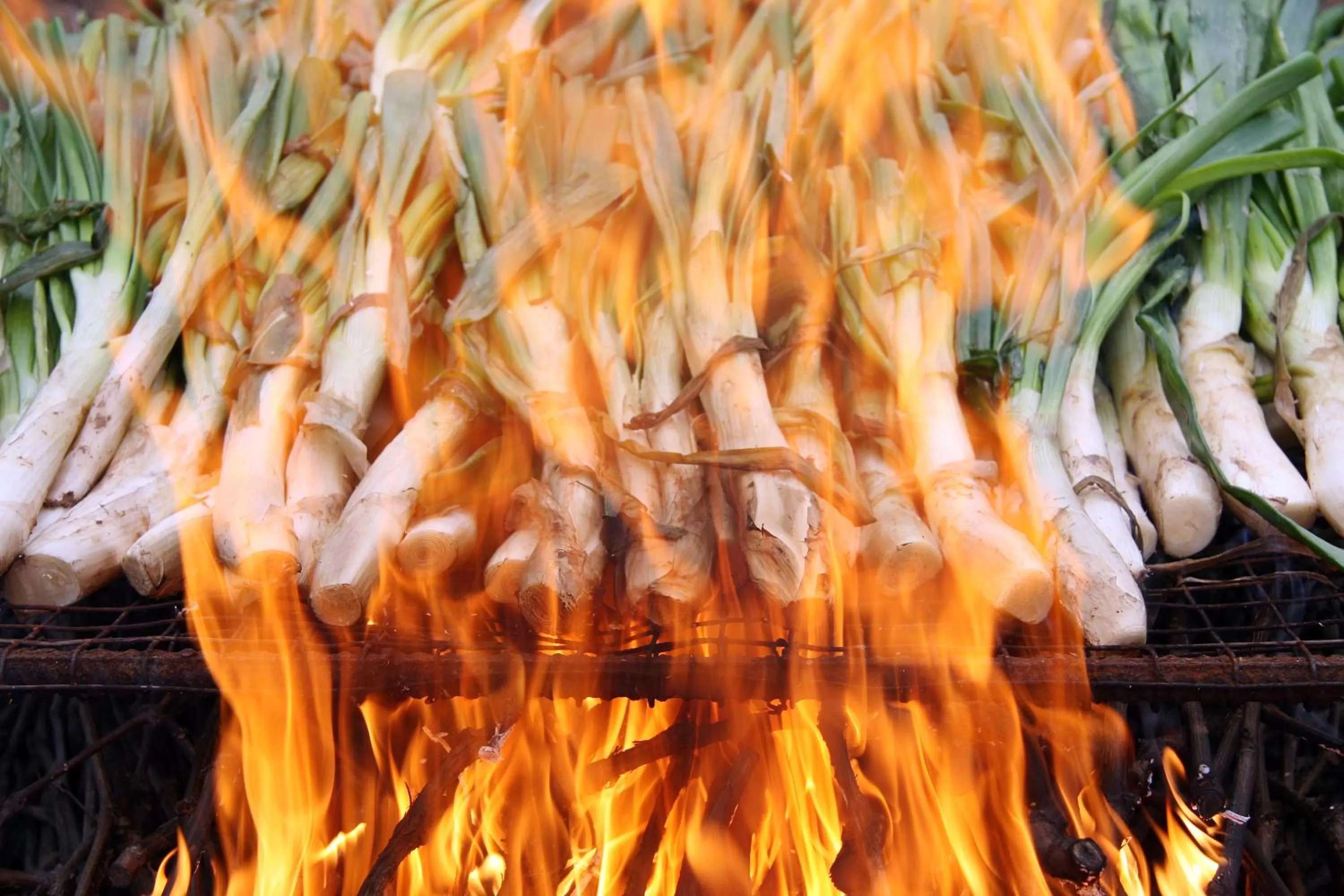 Meals in Hotel Class Valls