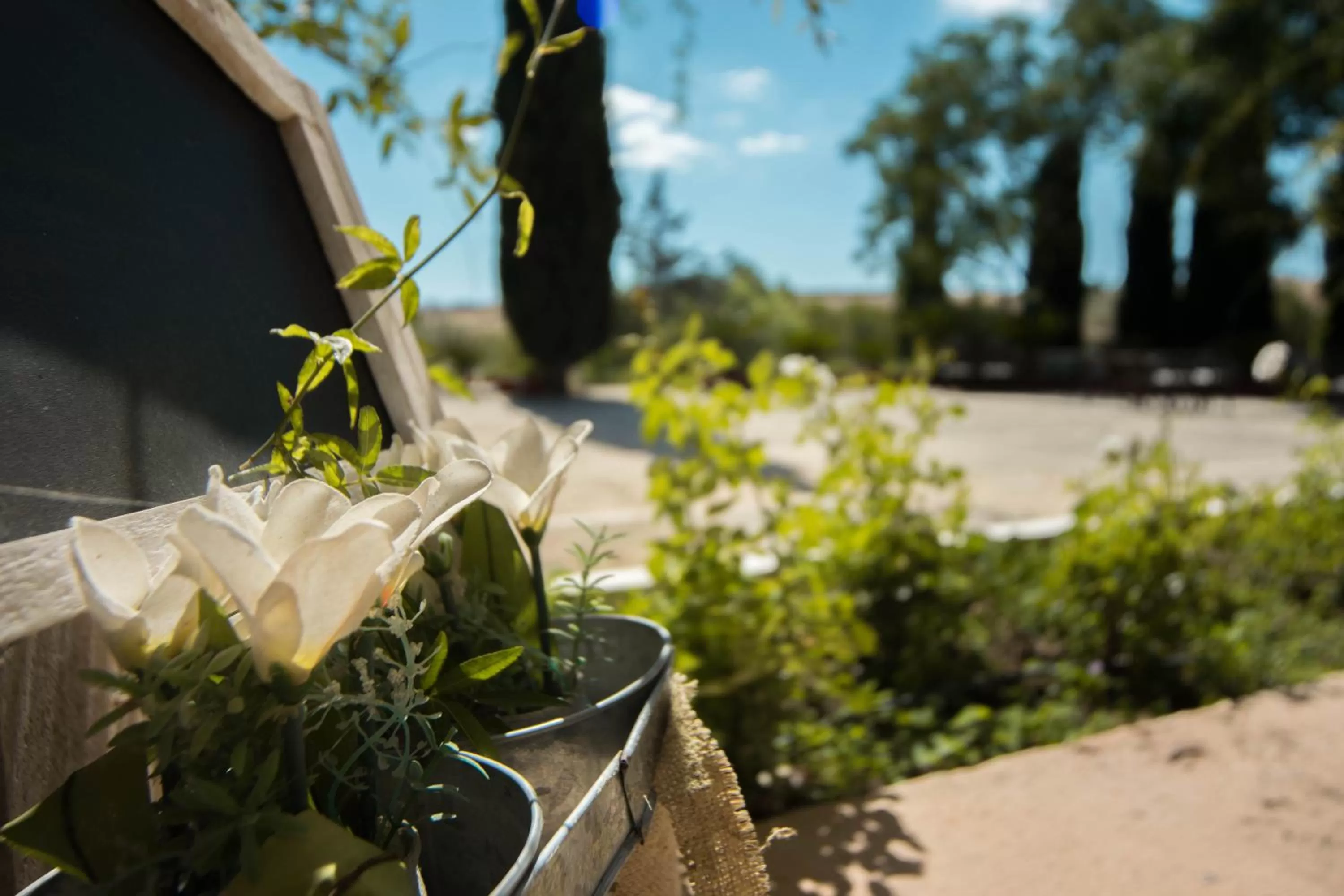 Balcony/Terrace in Hotel Bodega El Juncal