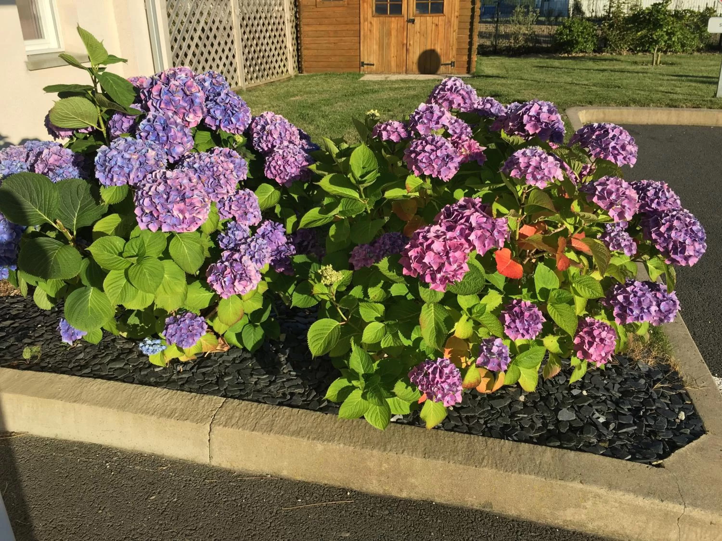 Garden in Kyriad Dol-de-Bretagne