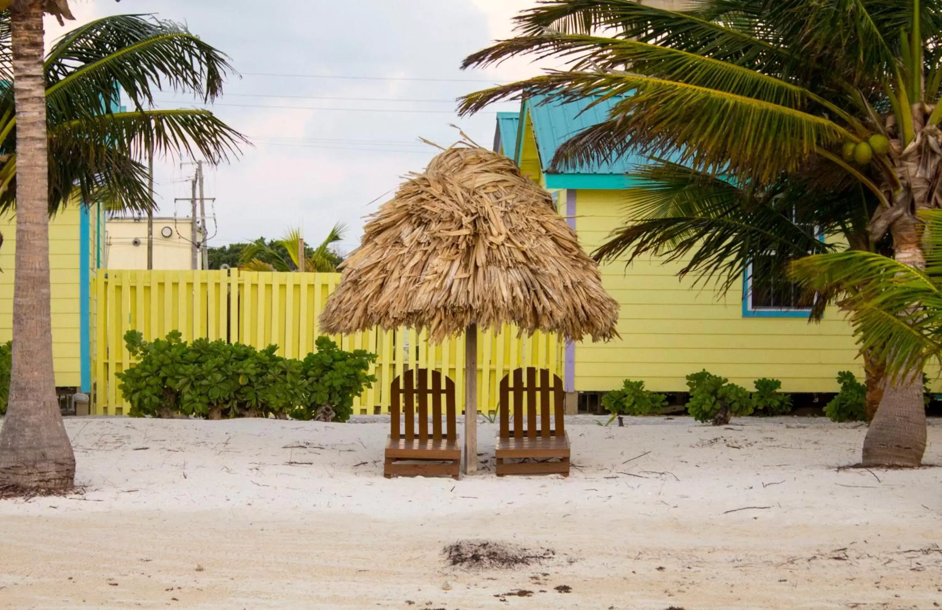 Beach, Property Building in Royal Caribbean Resort