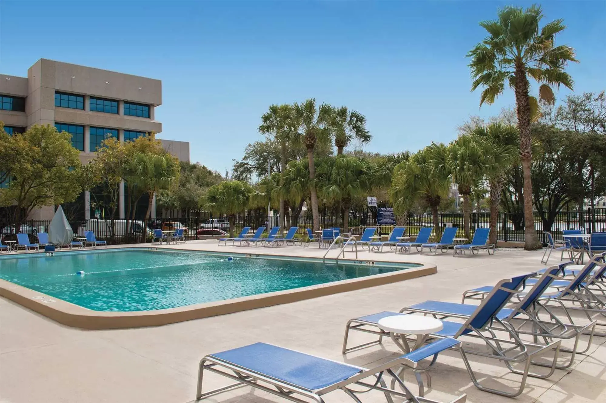 Swimming Pool in The Barrymore Hotel Tampa Riverwalk