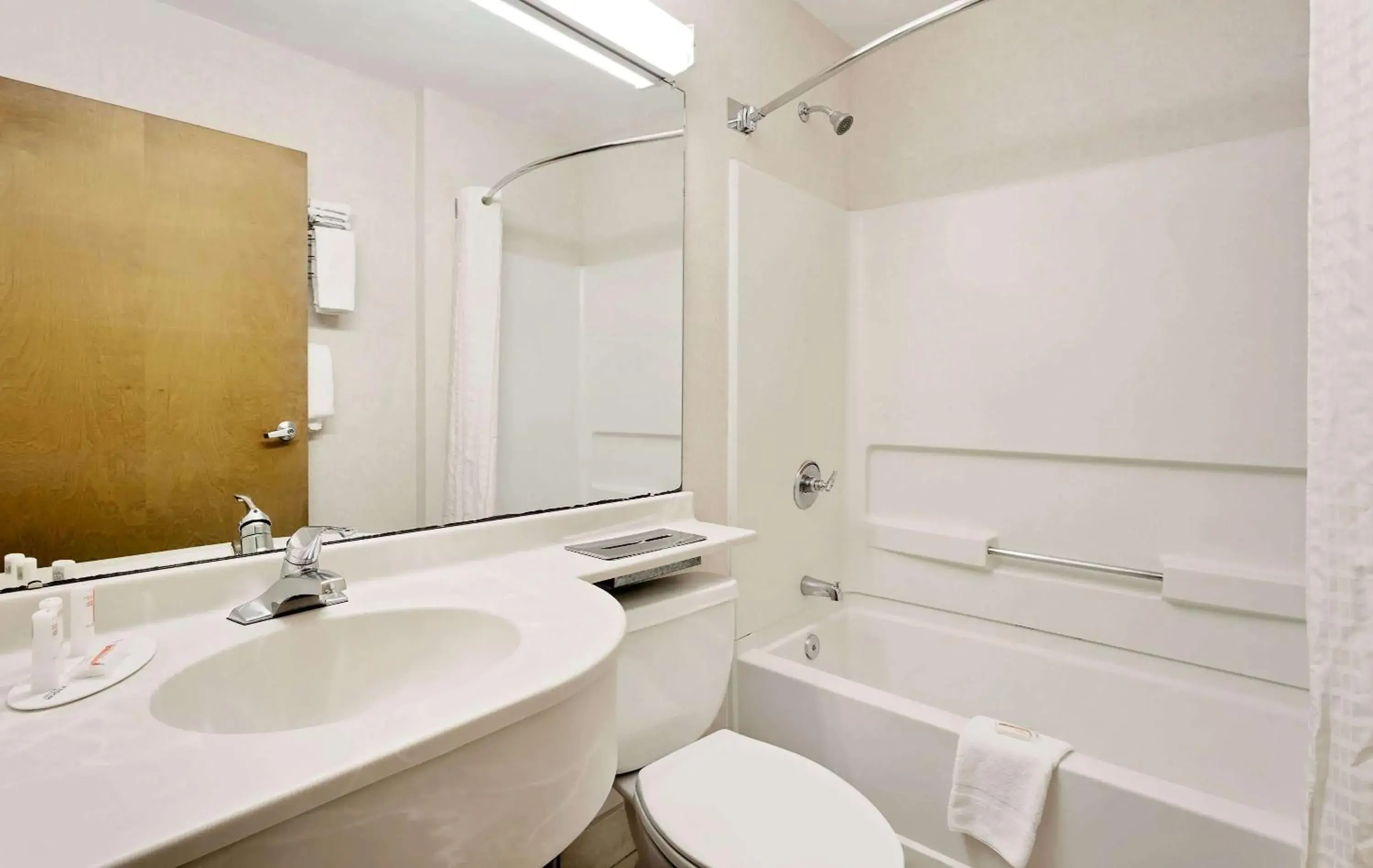 Bathroom in Microtel Inn by Wyndham Winston-Salem