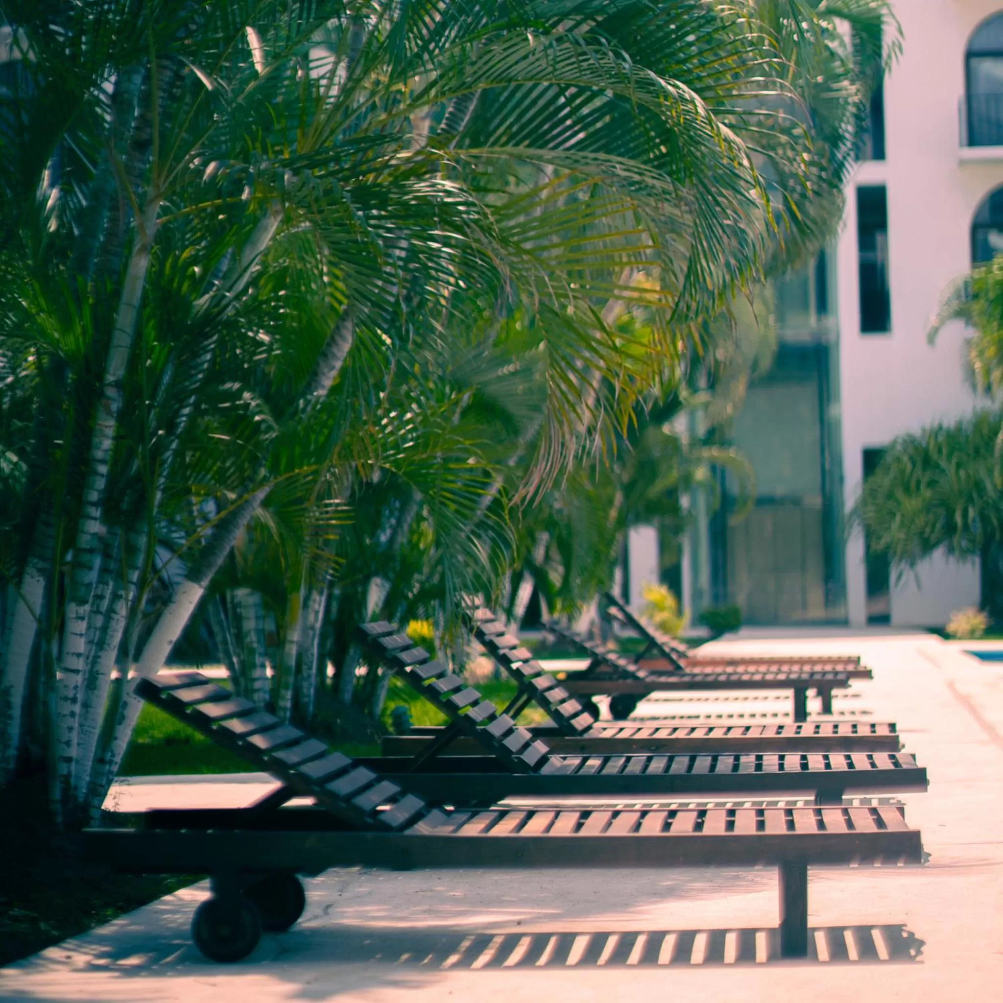 Solarium in Hotel Caracol Plaza
