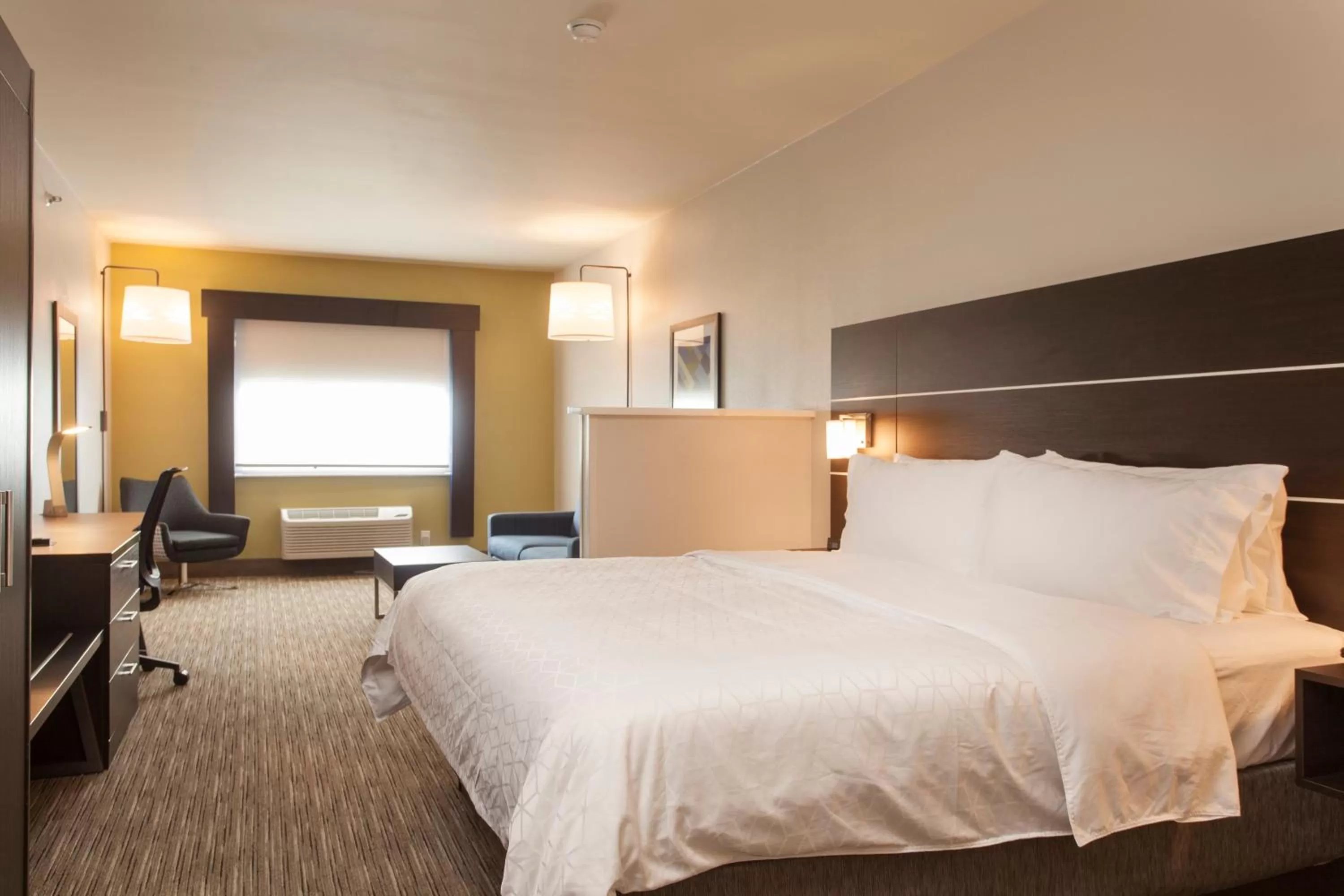 Suite - Hearing Accessible - Non-Smoking in Holiday Inn Express & Suites - Santa Fe, an IHG Hotel