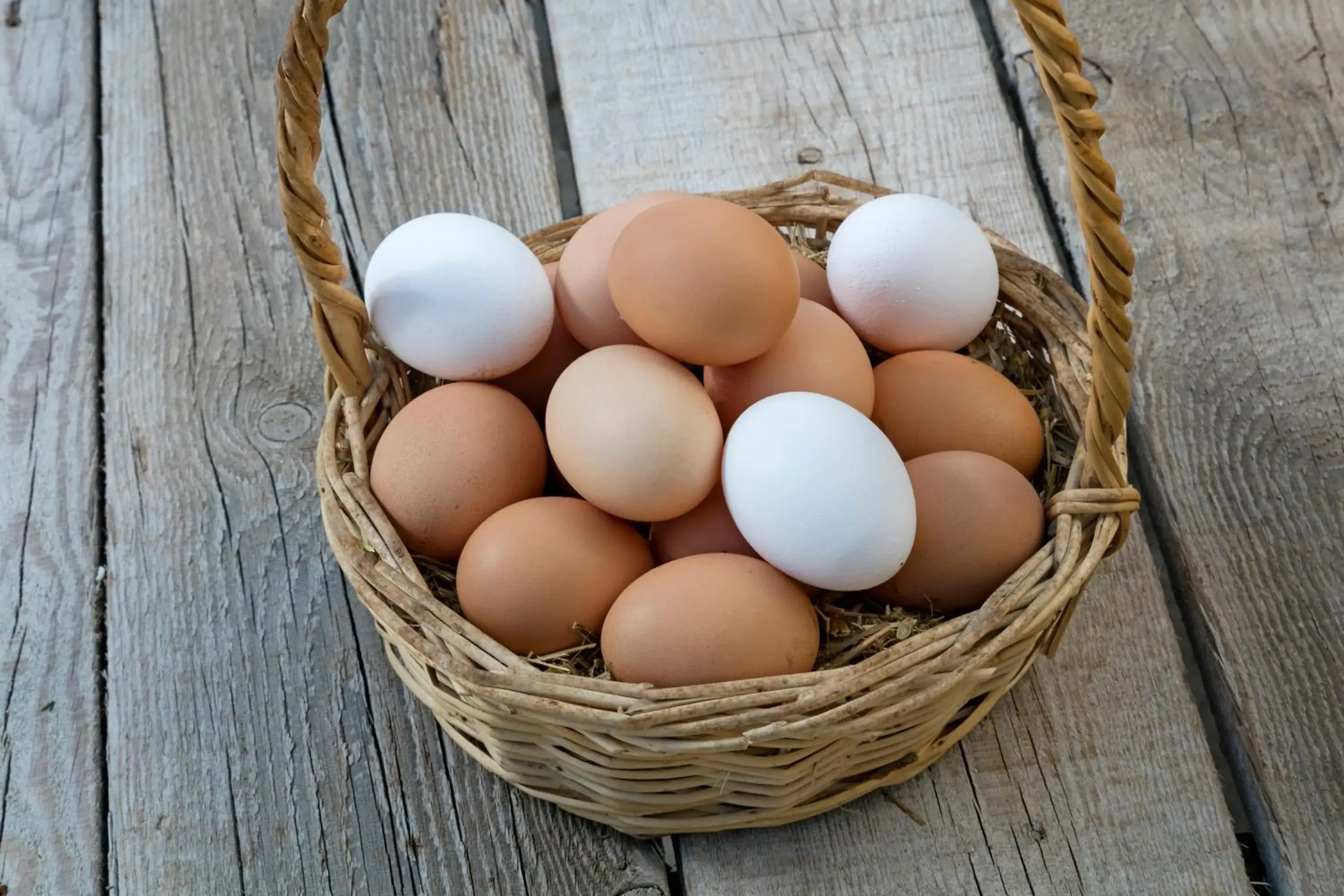 Food and drinks in Örsmaris Boutique Hotel Food and drinks in Örsmaris Boutique Hotel