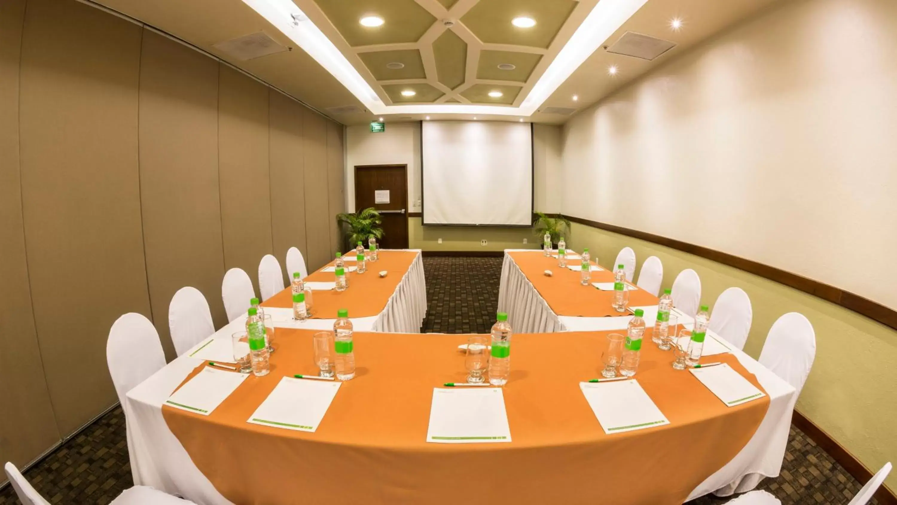 Meeting/conference room in Holiday Inn Orizaba, an IHG Hotel