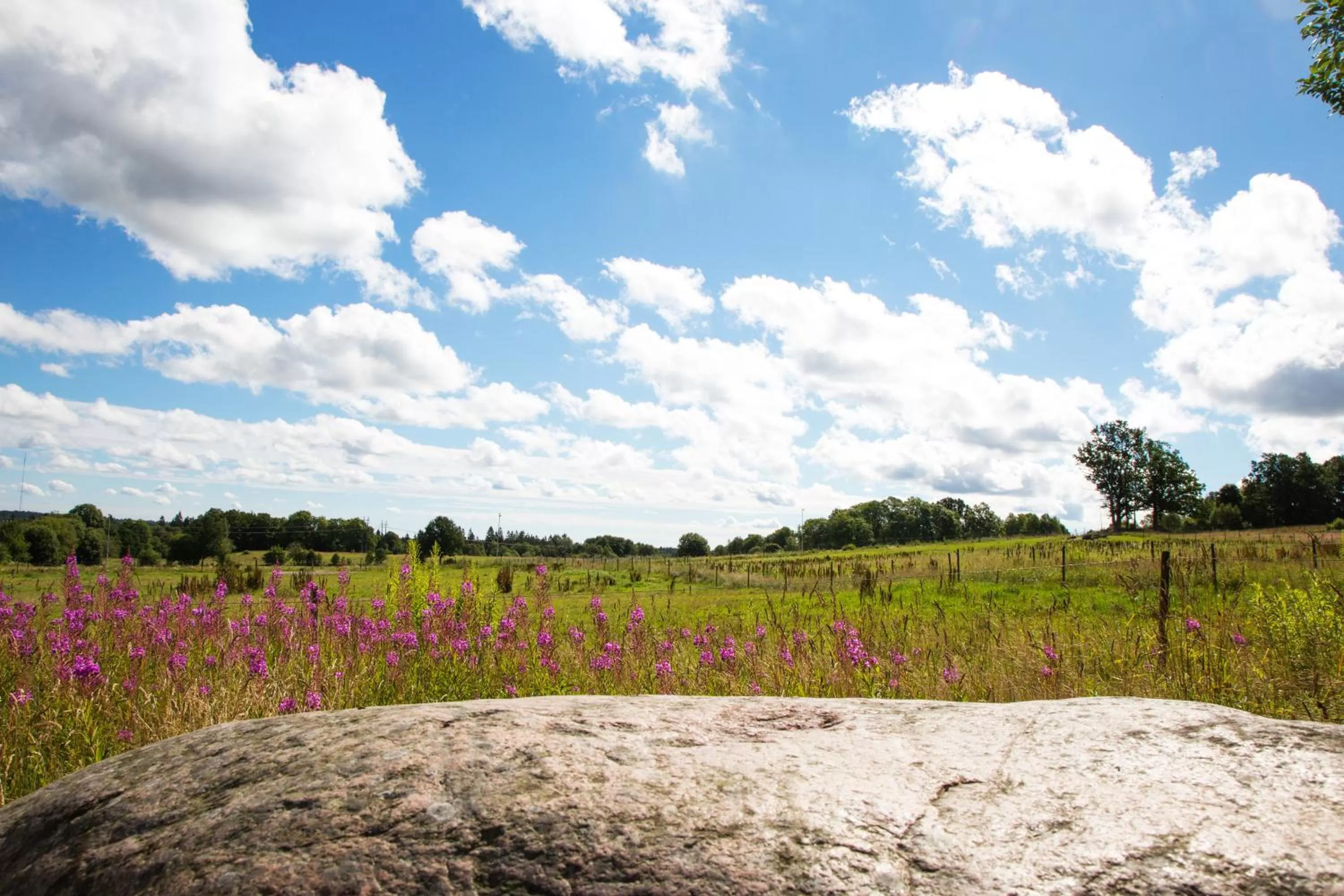 Natural landscape in Easy Livin' Apartment Hotel