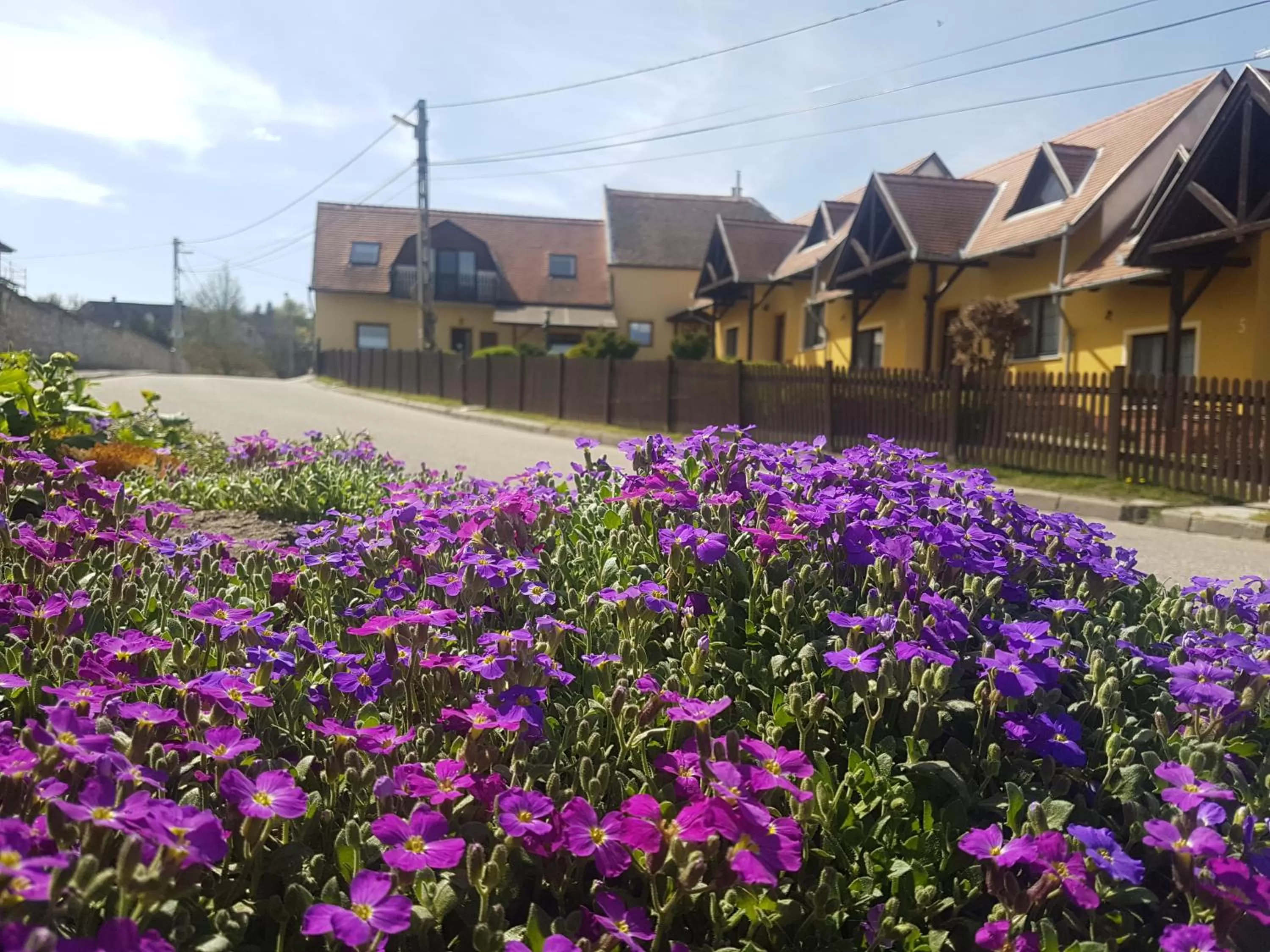 Property Building in Huber Panzió
