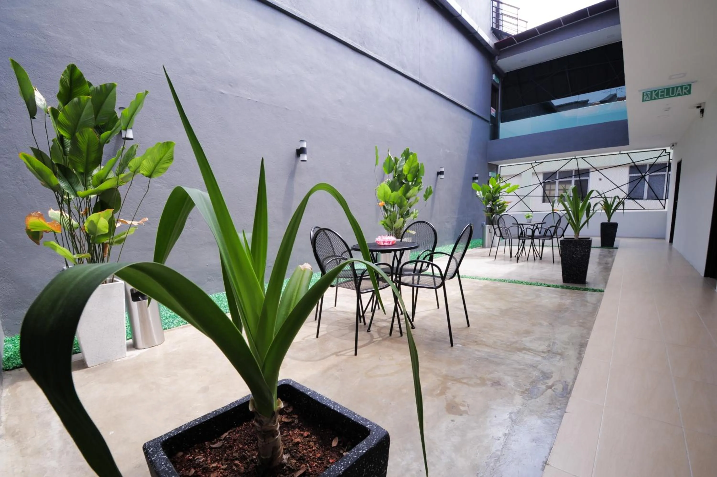 Garden in Hotel Mezzo