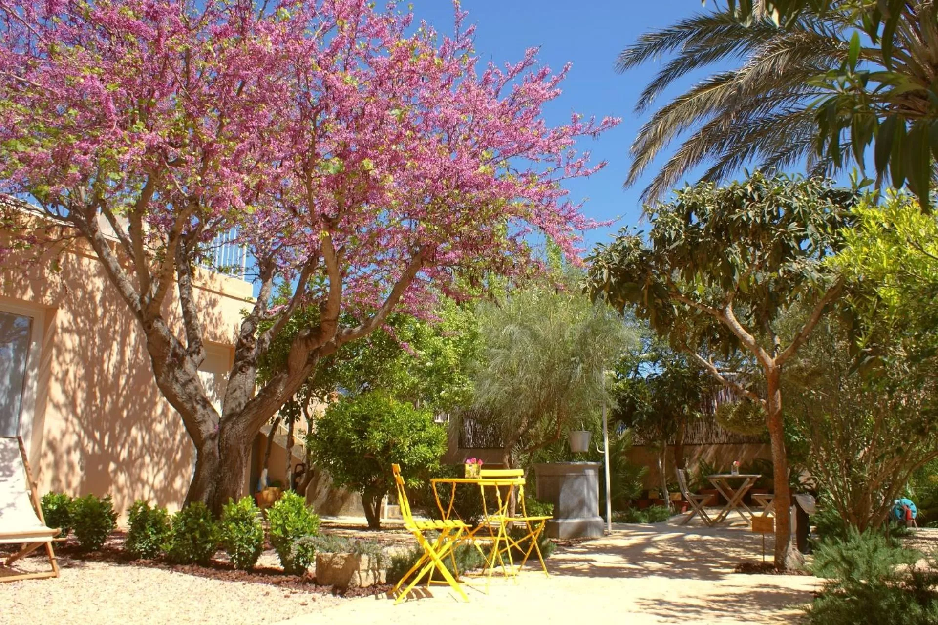 Garden in Hotel Boutique Can Pocovi