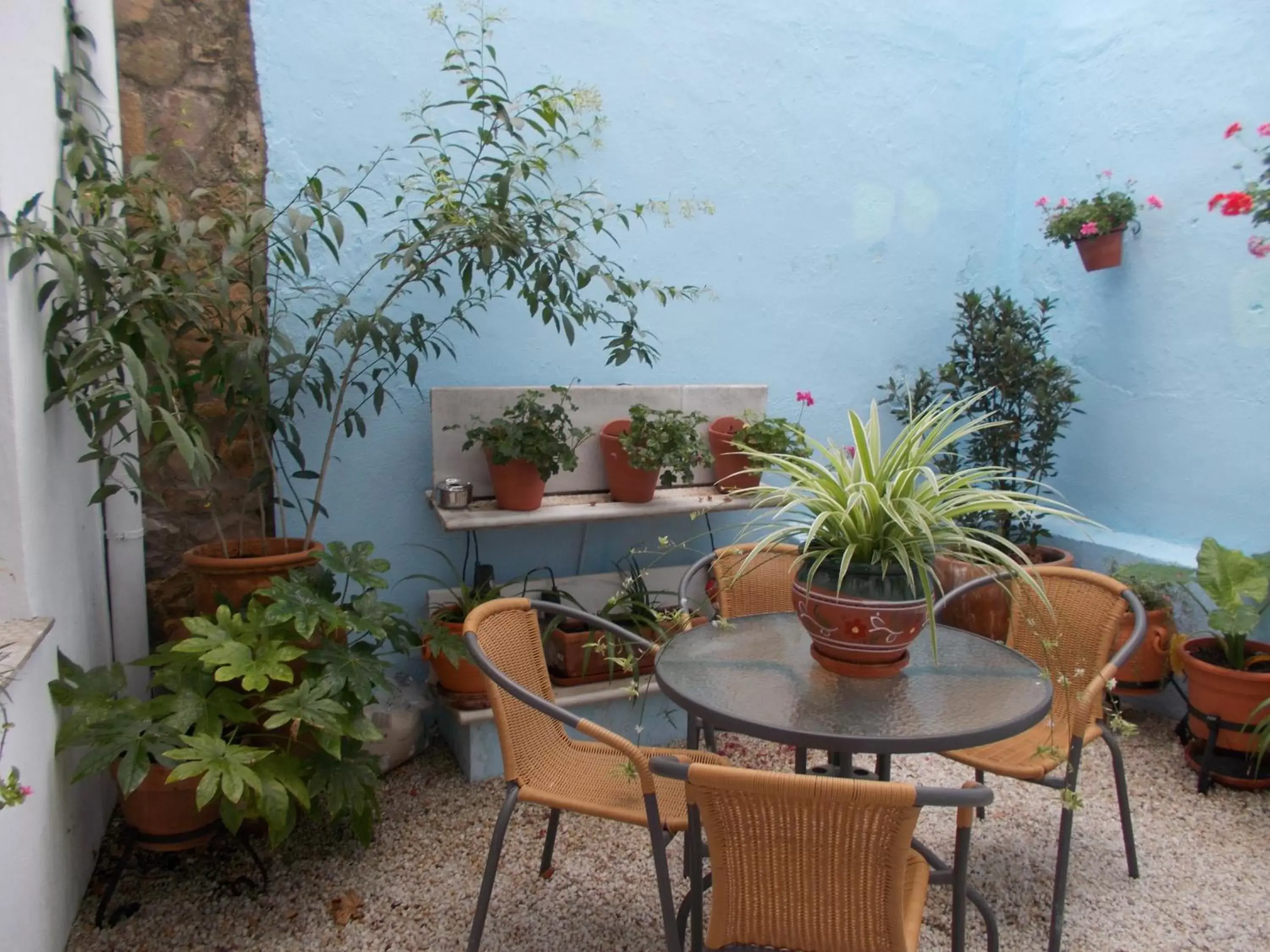 Patio in Hotel Boutique Nueve Leyendas