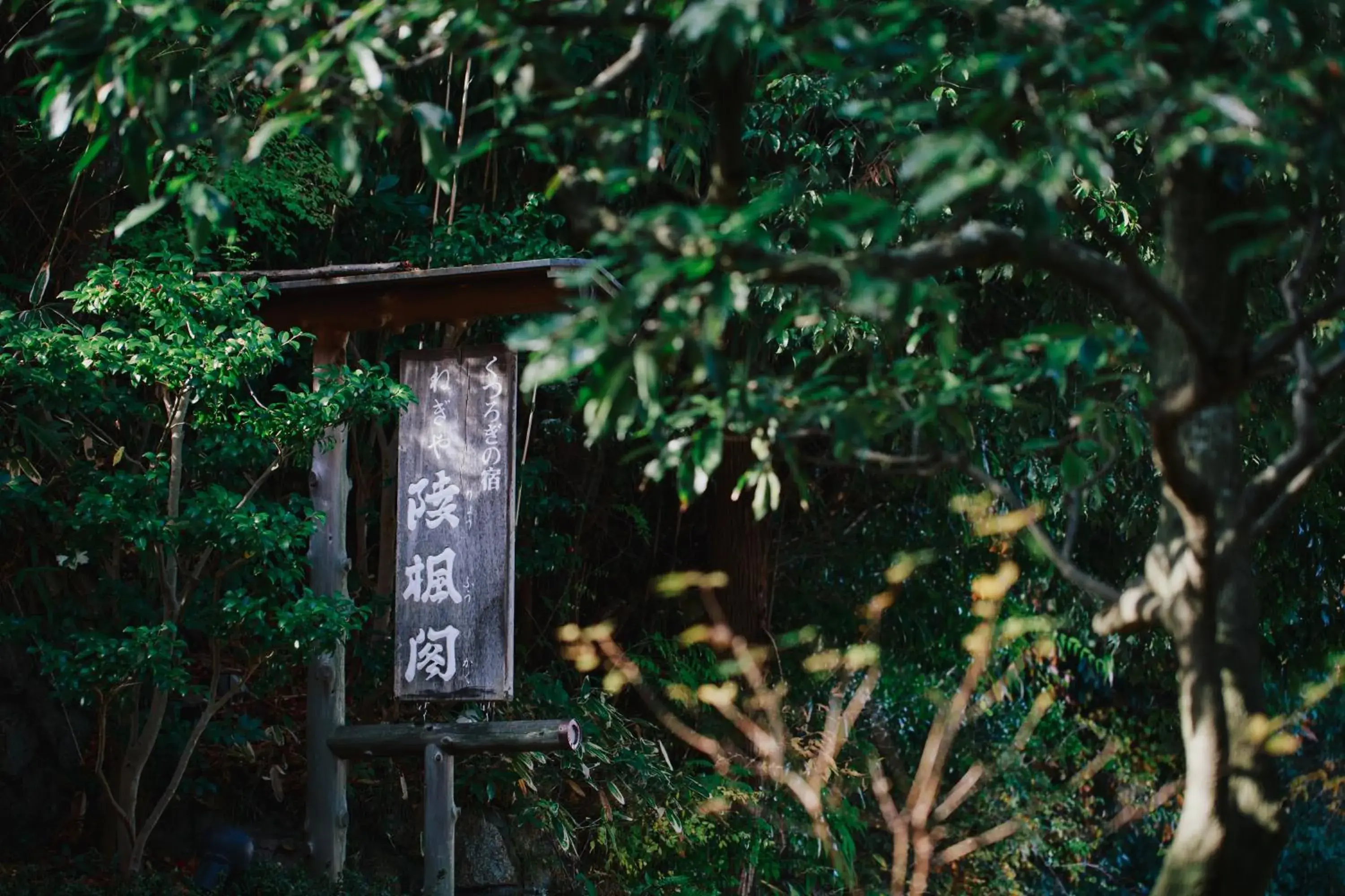 Property building in Negiya Ryofukaku