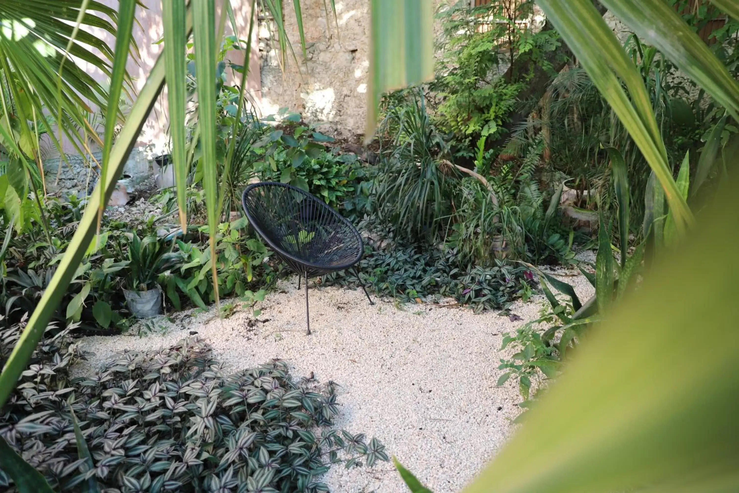Garden in Nuik Casa Tropical